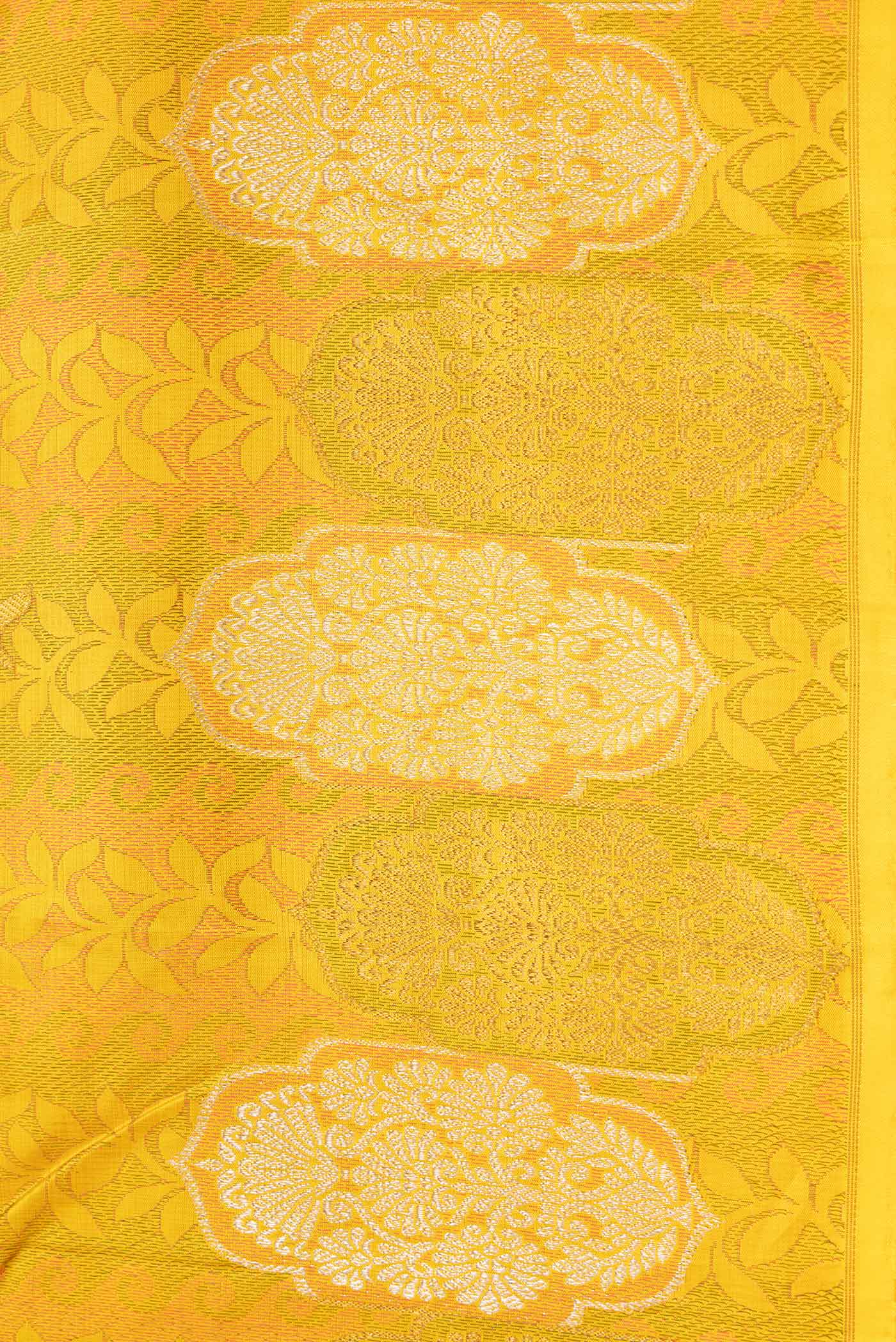 Border image of Yellow Dual Tone Kanchipuram Silk Saree with Jacquard design on the body and Fancy Border