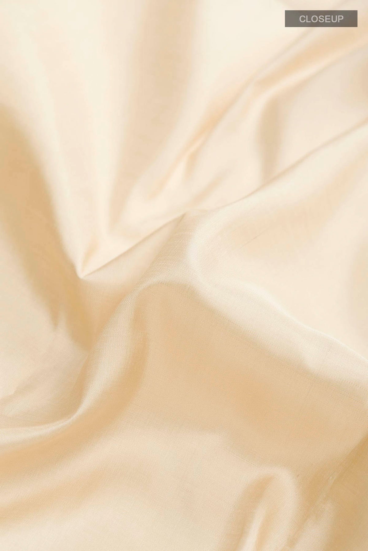 Close up of Beige Kanchipuram Silk Saree with Plain Body and Zari Border displaying folds