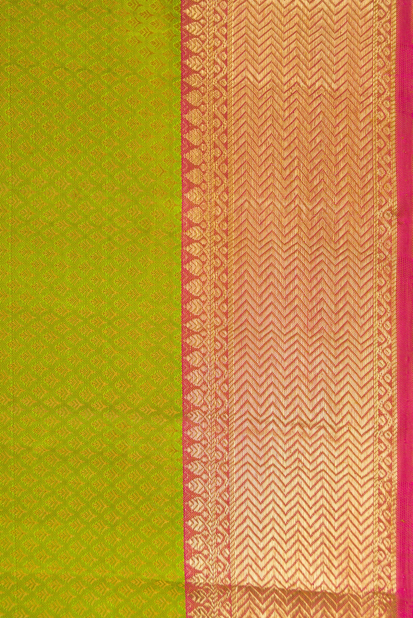 Border image of Pista Green Dual Tone Kanjivaram Silk Saree with Jacquard design on the body and Zari Border. 
