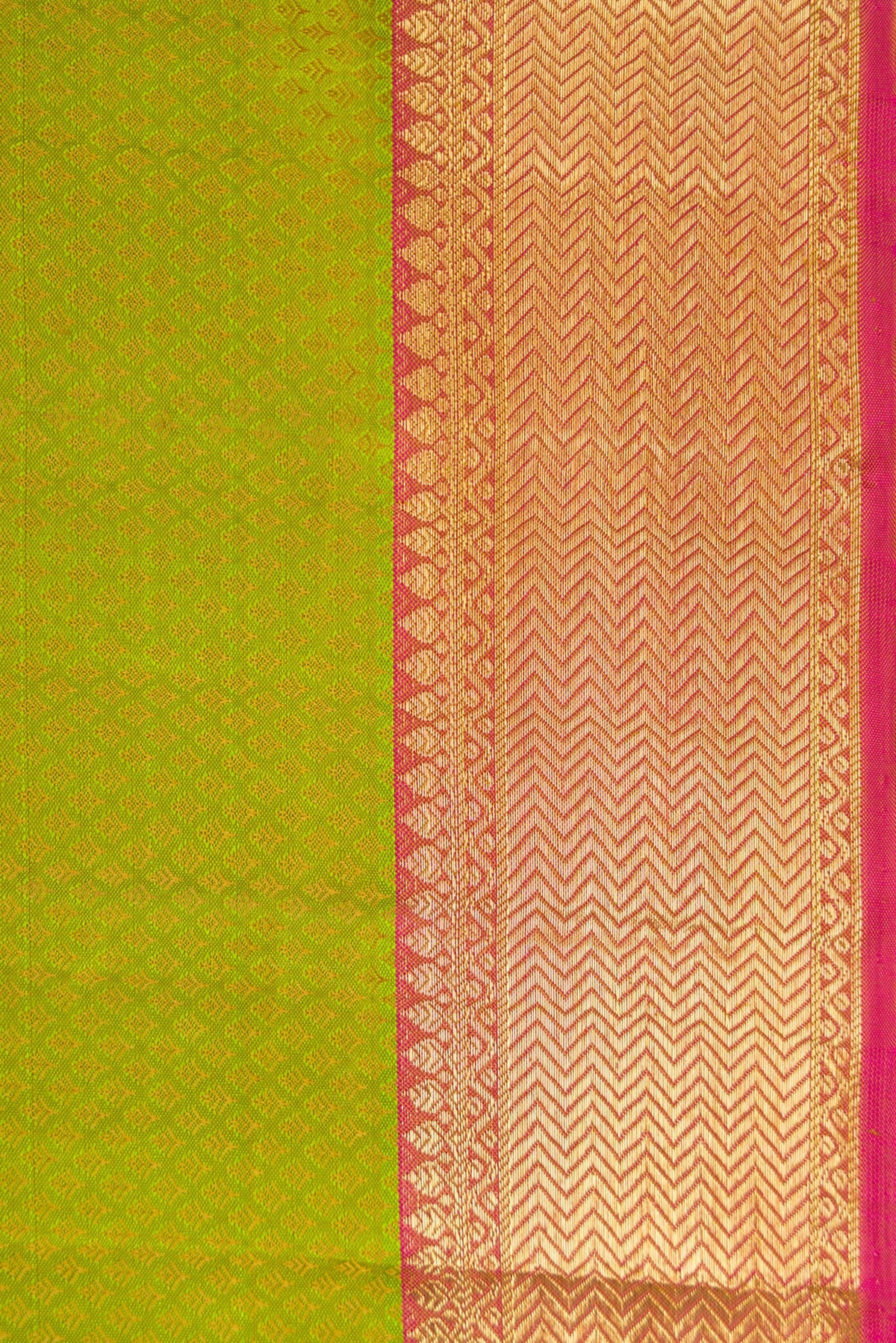 Border image of Pista Green Dual Tone Kanjivaram Silk Saree with Jacquard design on the body and Zari Border. 