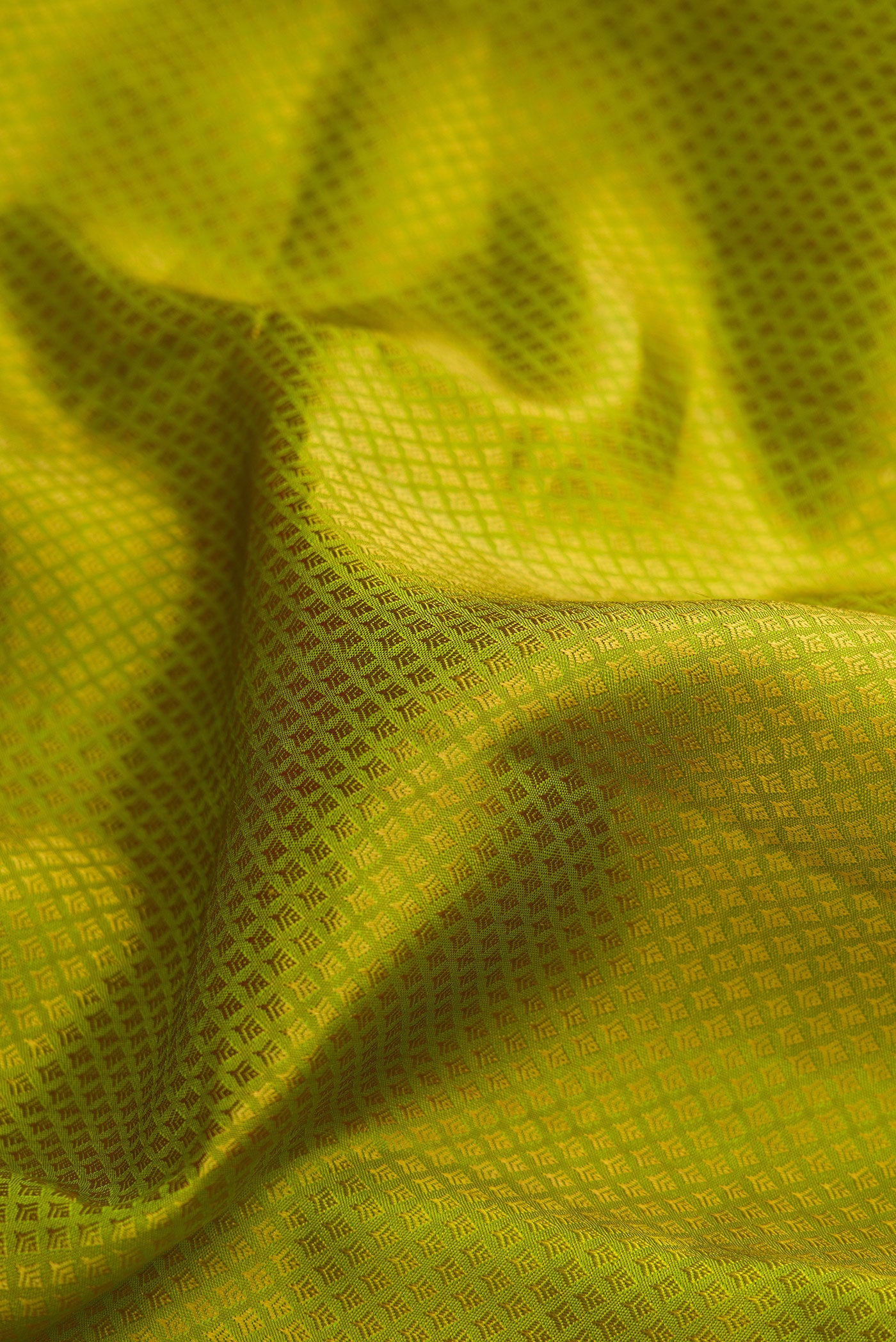 Close up of Pista Green Dual Tone Kanjivaram Silk Saree with Jacquard design on the body and Zari Border.  displaying folds