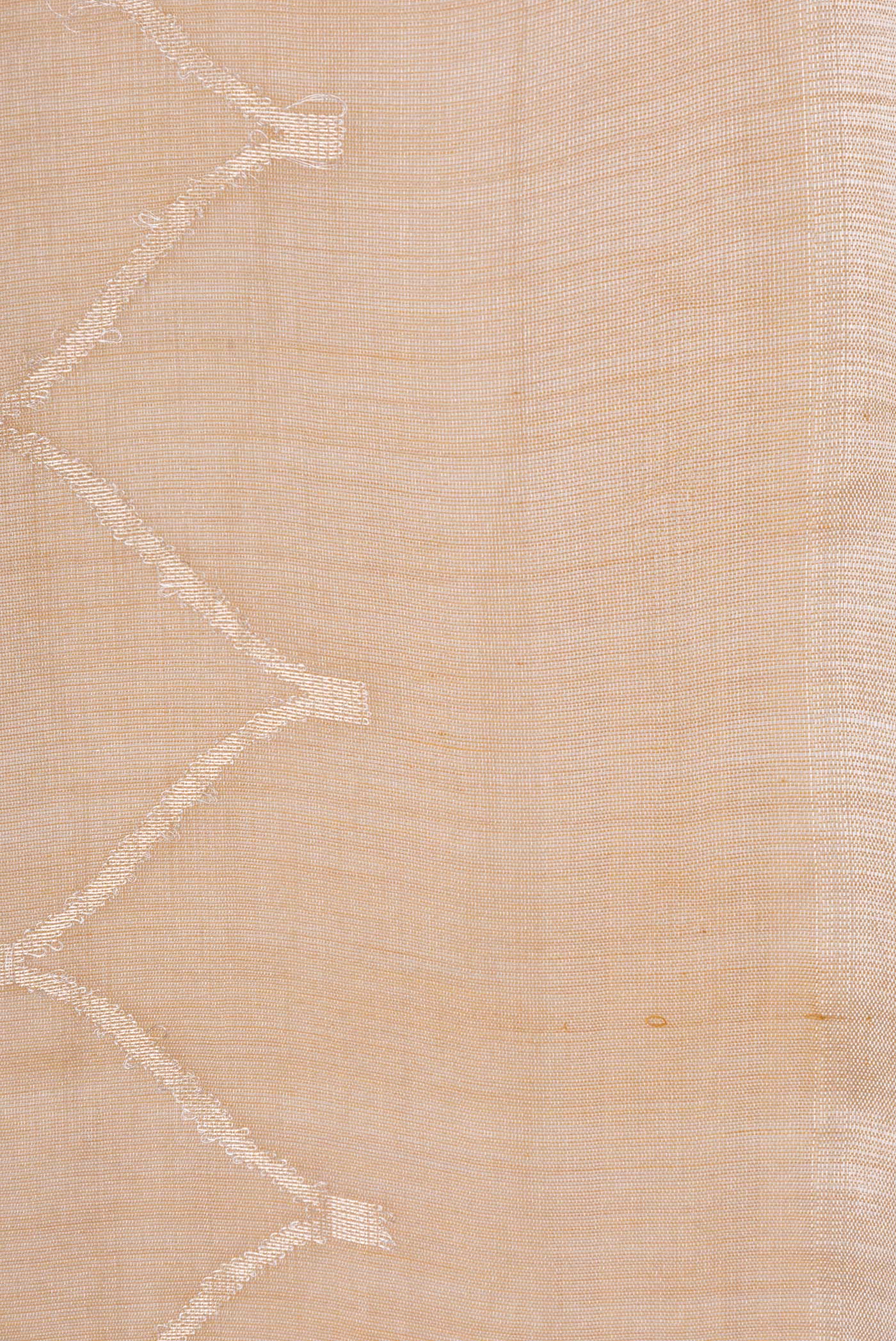 Border image of Sandal Dual Tone Organza Silk Saree with Zari Brocade on the body and Zari Border. 