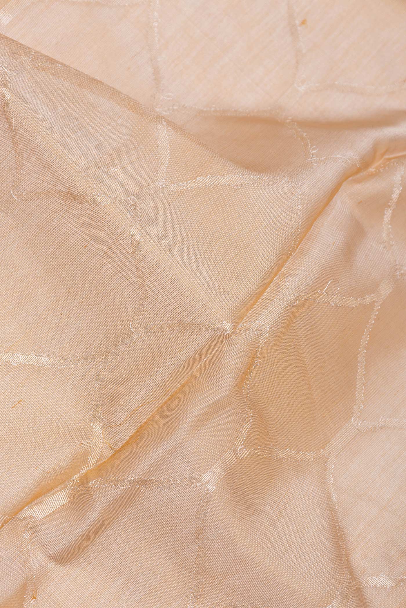 Close up of Sandal Dual Tone Organza Silk Saree with Zari Brocade on the body and Zari Border.  displaying folds