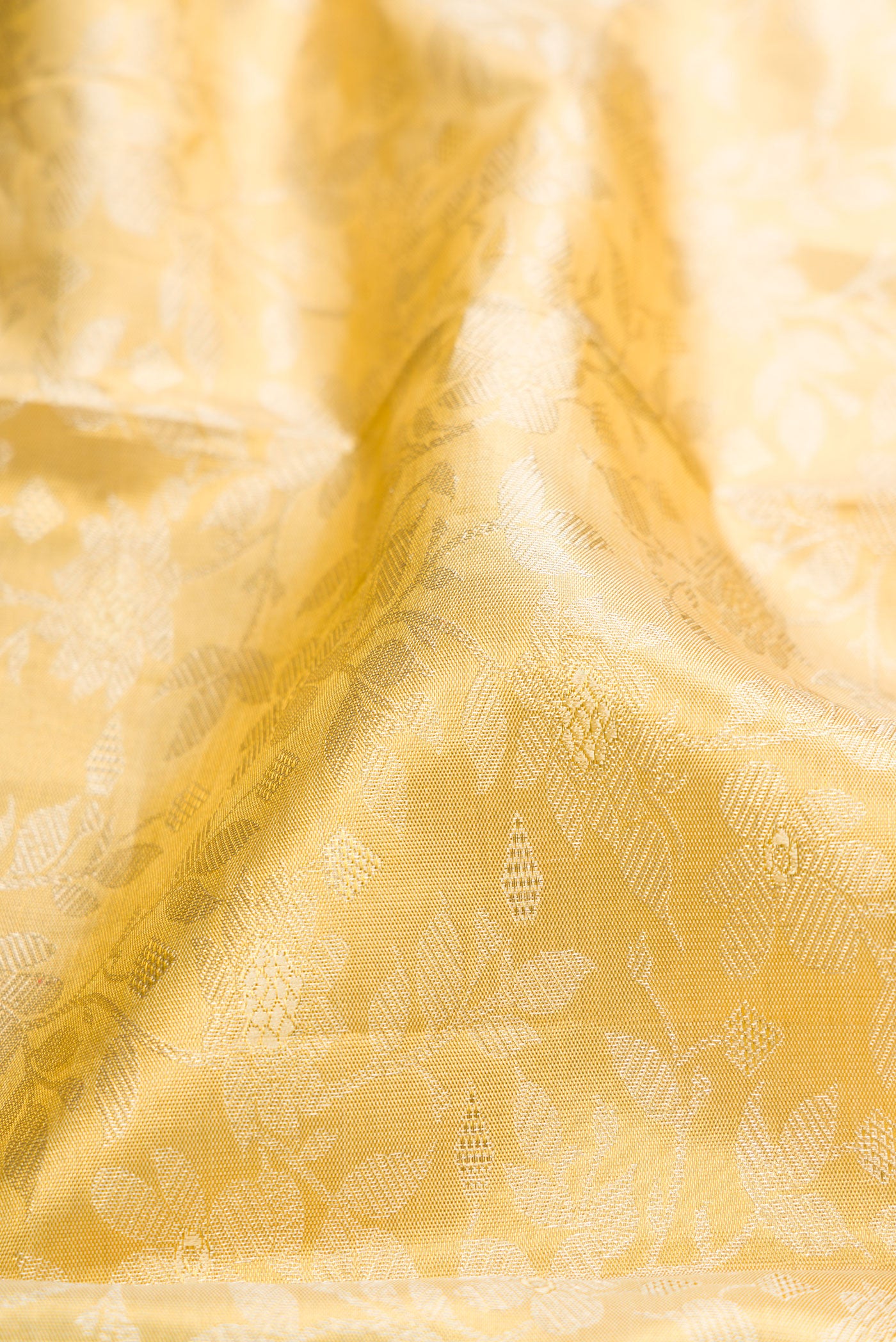 Close up of Gold Dual Tone Kanjivaram Tissue Silk Saree with Zari Brocade on the body and Fancy Border.  displaying folds