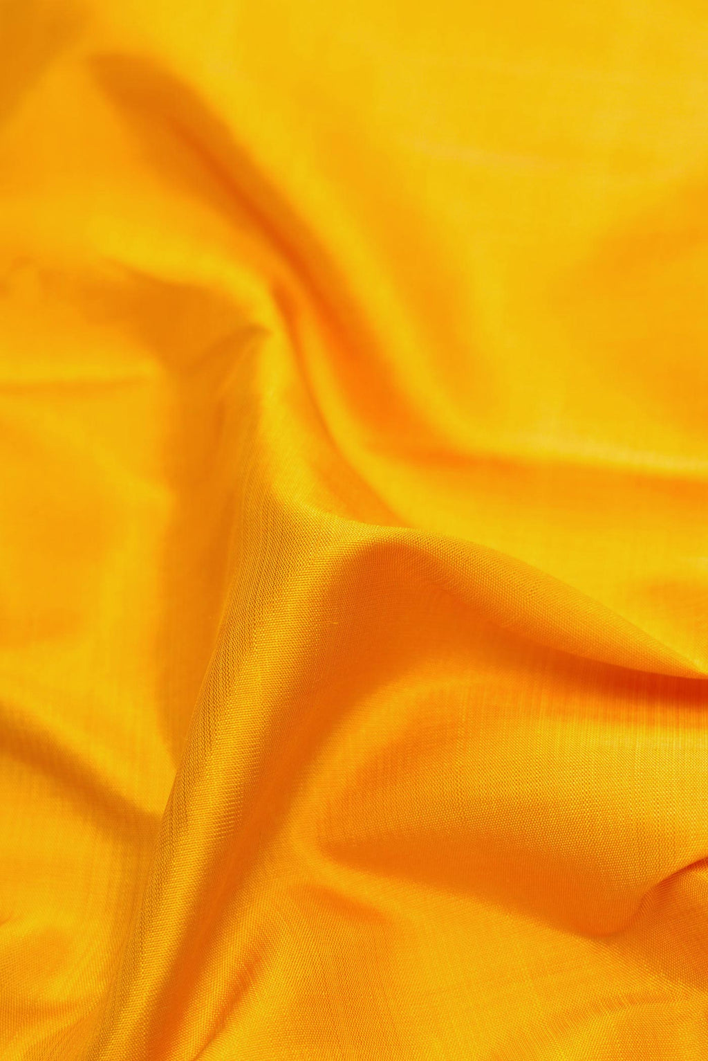 Close up of Mustard Dual Tone Kanchipuram Silk Saree with Plain Body and Thread Border displaying folds