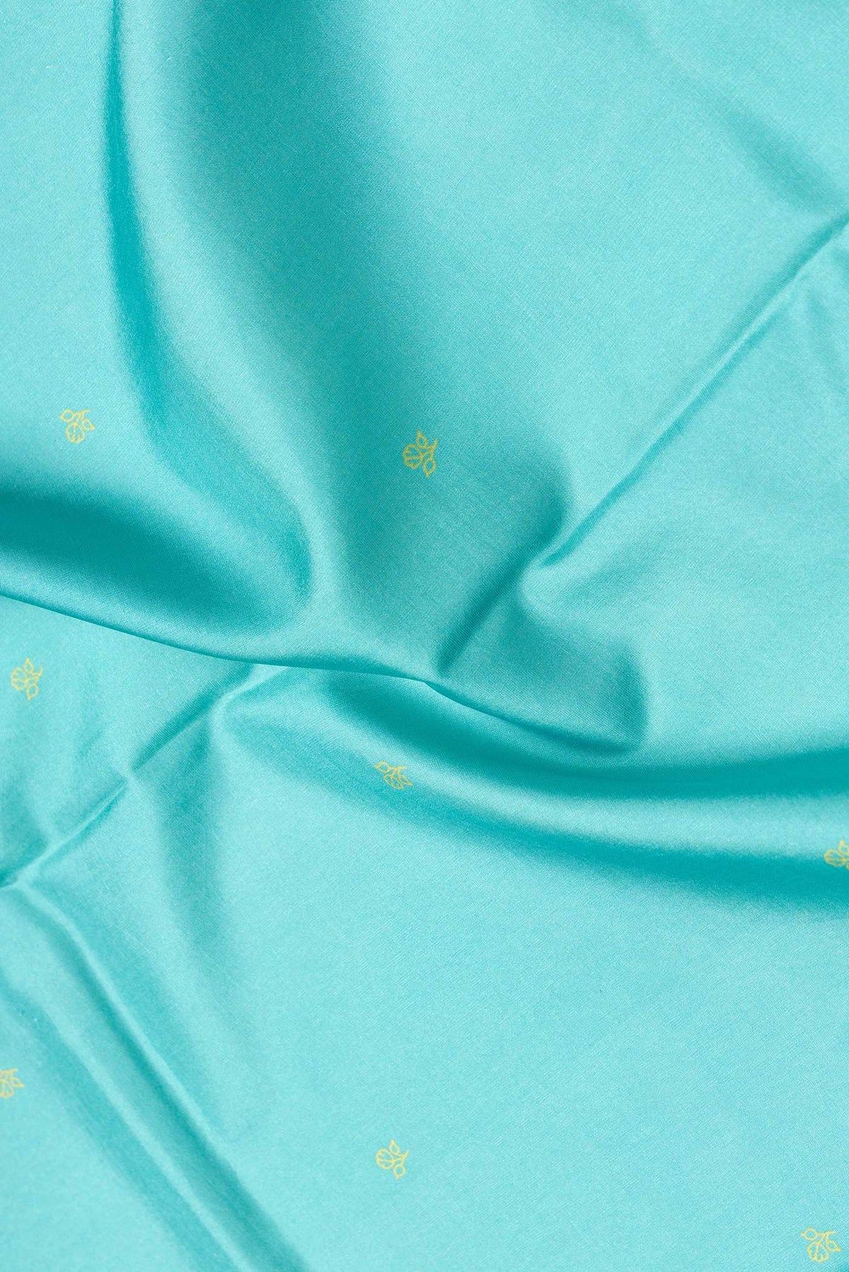 Close up of Sky Blue Dual Tone Printed Silk Saree with Printed design on the body and Fancy Border.  displaying folds