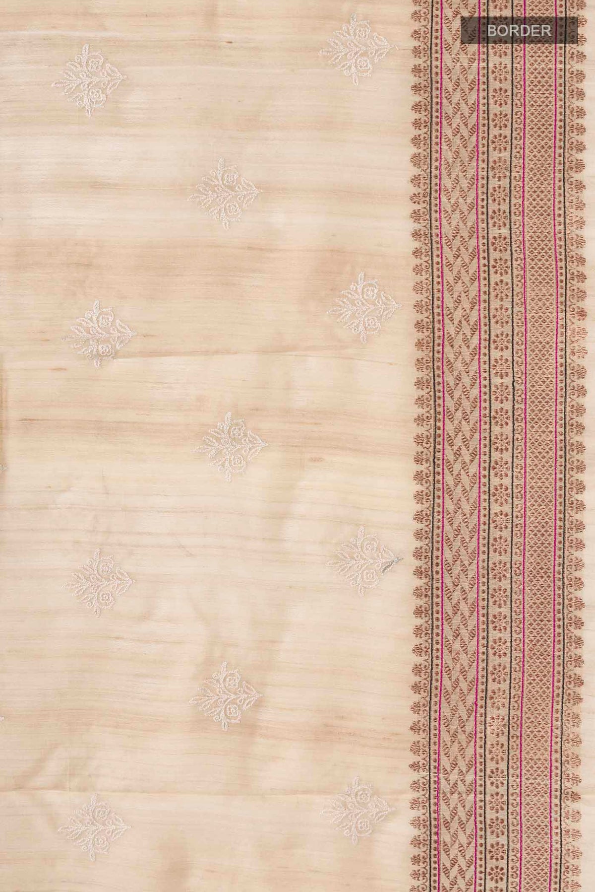 Border image of Beige Bhagalpuri Tussar Silk Saree with Embroidery on the body and Zari Border
