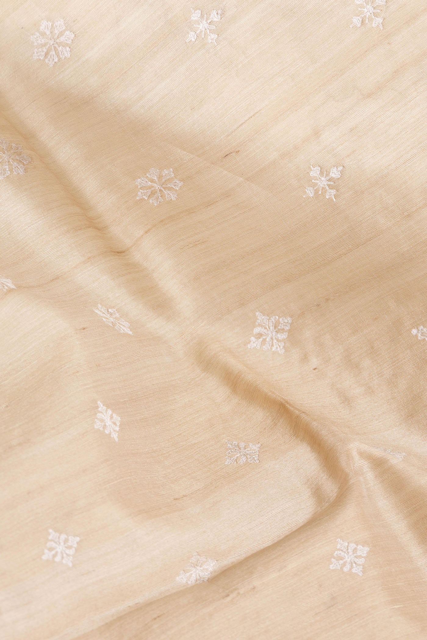 Close up of Beige Dual Tone Tussar Silk Saree with Embroidery on the body and Zari Border.  displaying folds