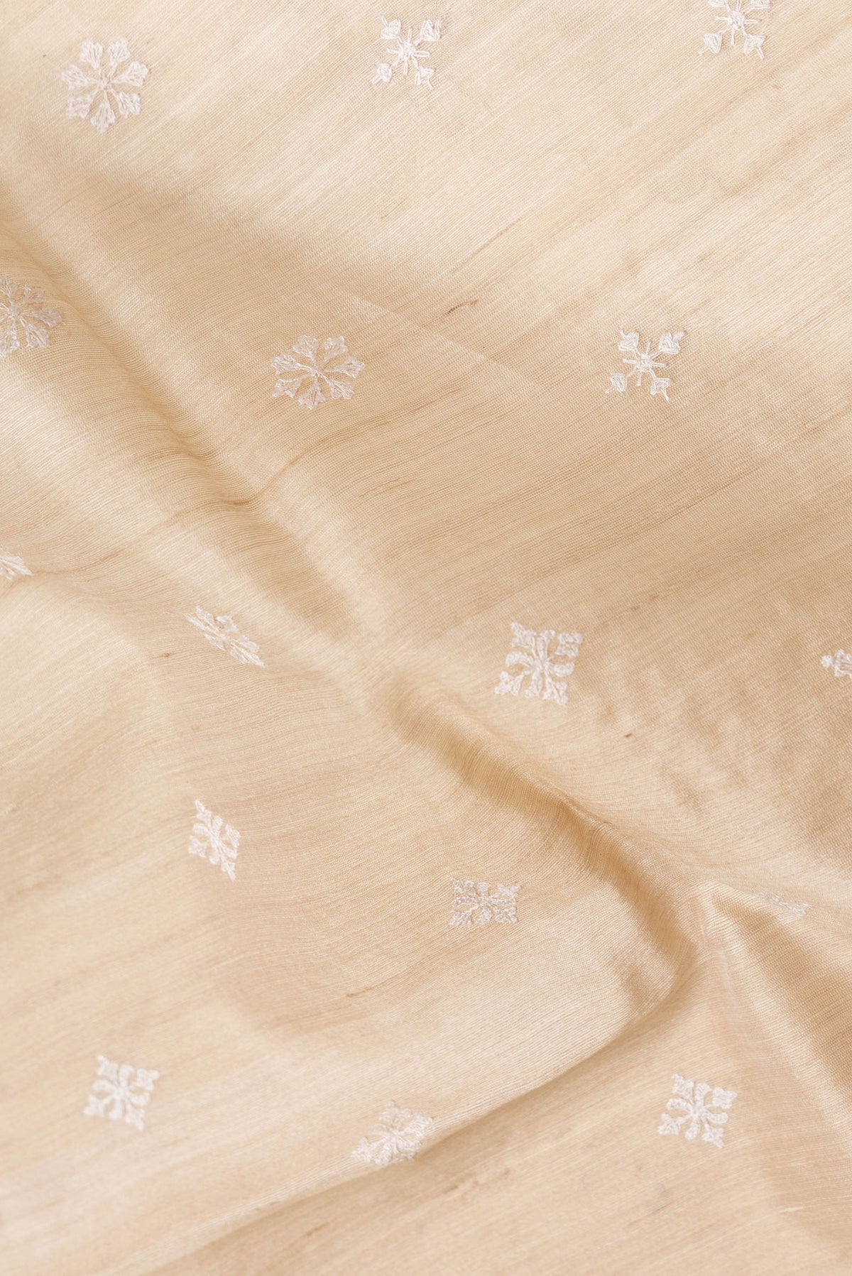 Close up of Beige Dual Tone Tussar Silk Saree with Embroidery on the body and Zari Border.  displaying folds