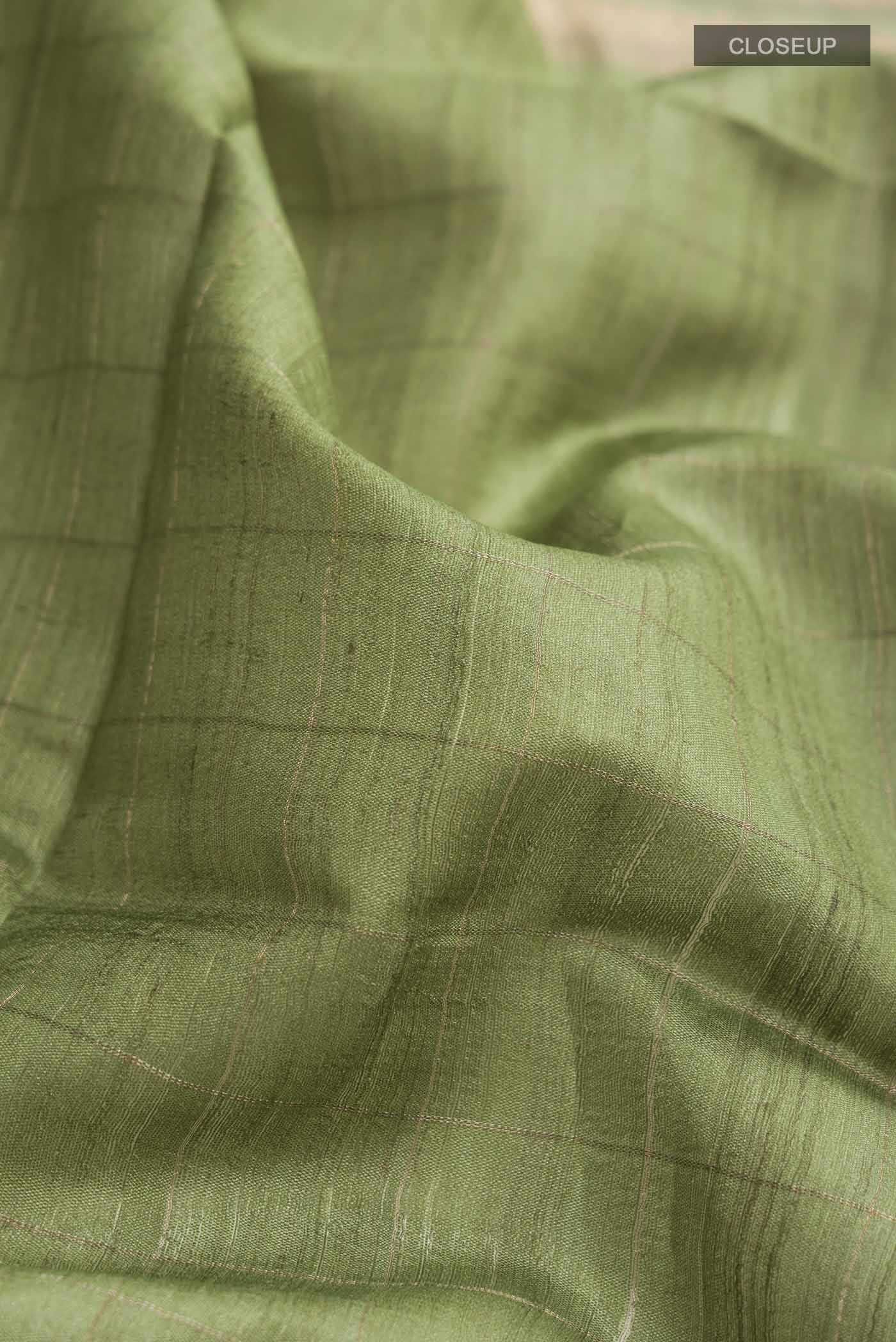 Close up of Green Bhagalpuri Tussar Silk Saree with Printed design on the body and Printed Border displaying folds