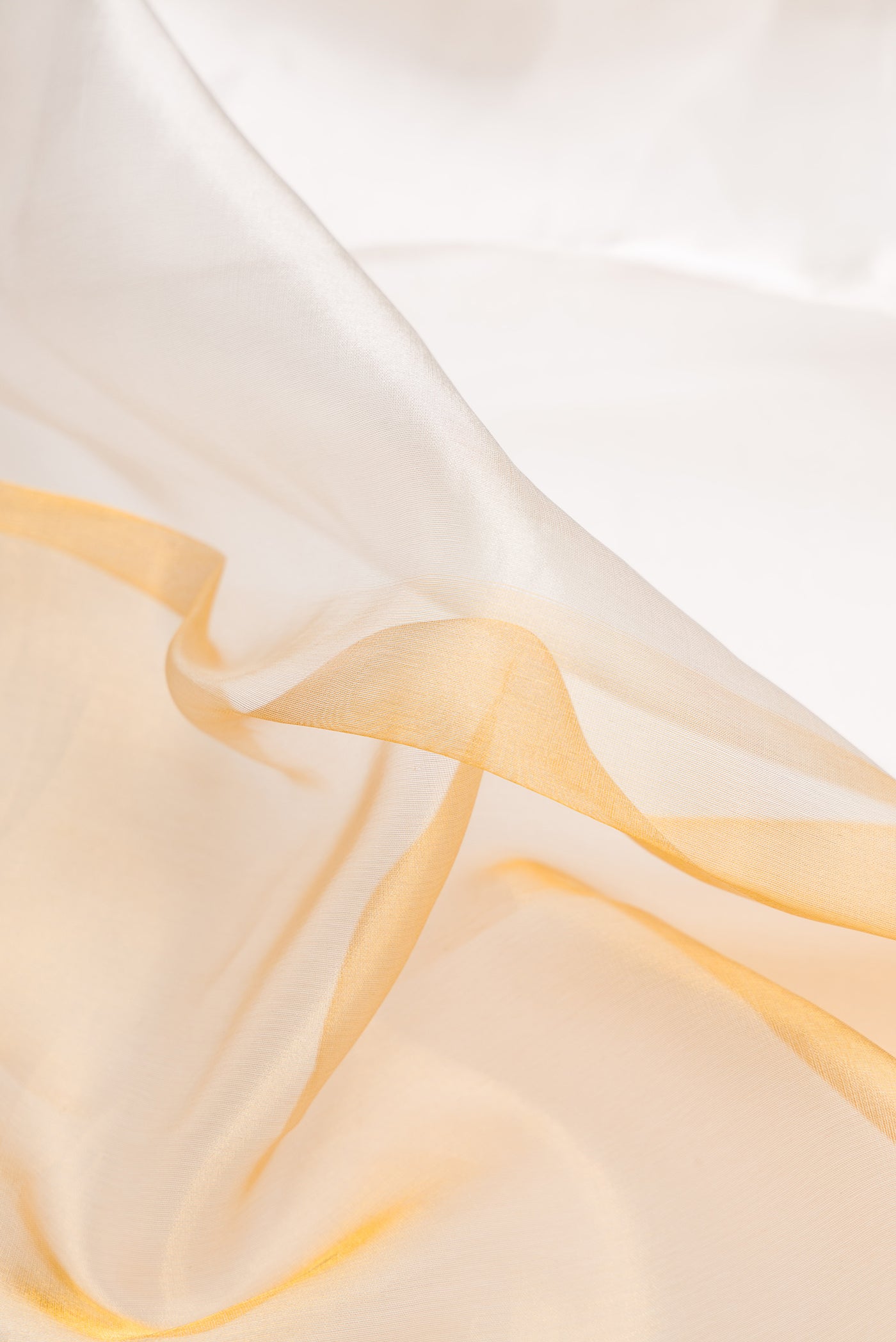 Close up of Silver and Gold Color Organza Silk Saree with Plain Body and Plain Border.  displaying folds