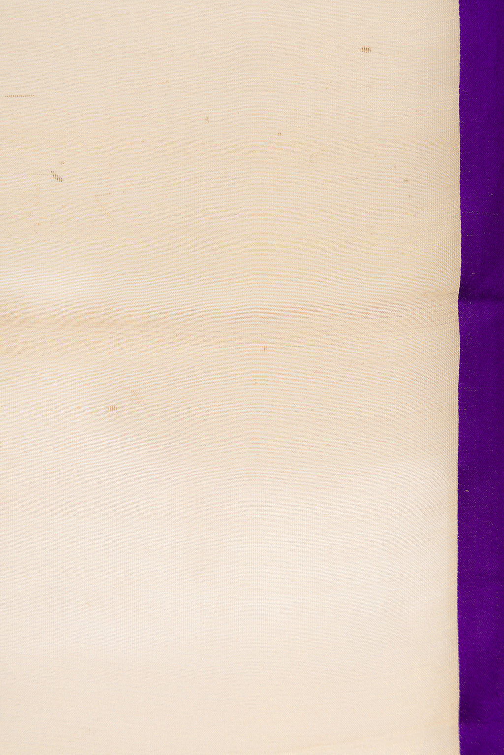 Border image of Silver and Gold Color Organza Silk Saree with Plain Body and Plain Border. 