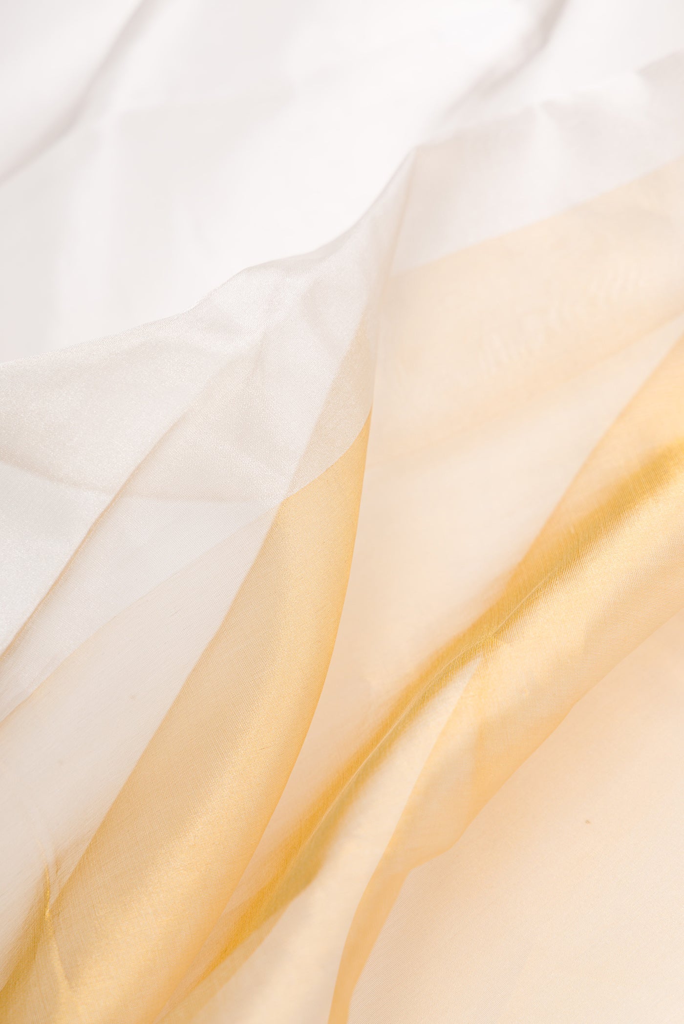 Close up of Silver and Gold Color Organza Silk Saree with Plain Body and Plain Border.  displaying folds