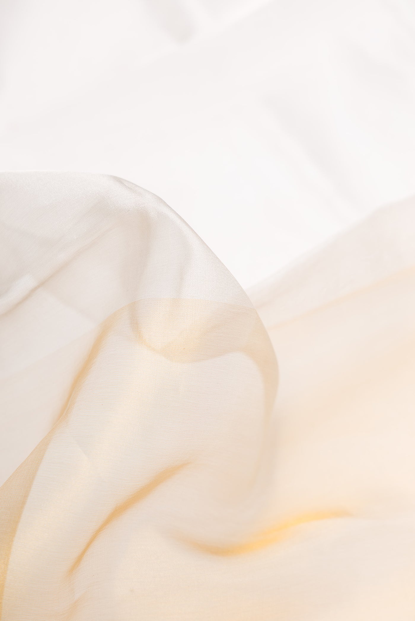 Close up of Silver and Gold Color Organza Silk Saree with Plain Body and Plain Border.  displaying folds