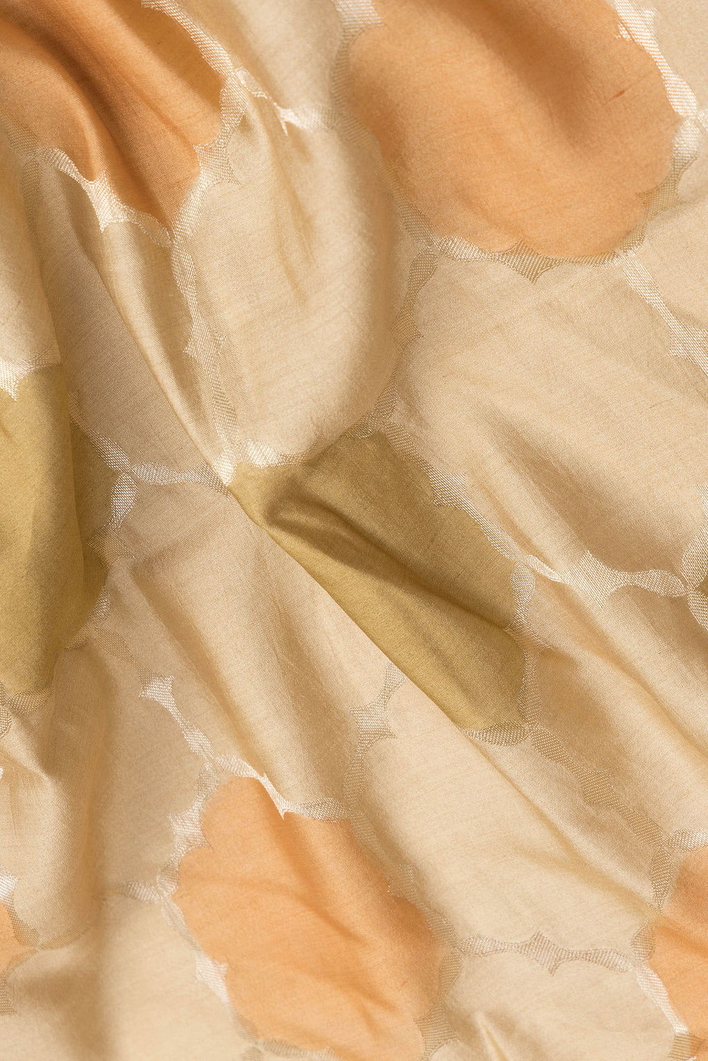 Close up of Beige Dual Tone Tussar Silk Saree with Zari Brocade on the body and Zari Border.  displaying folds