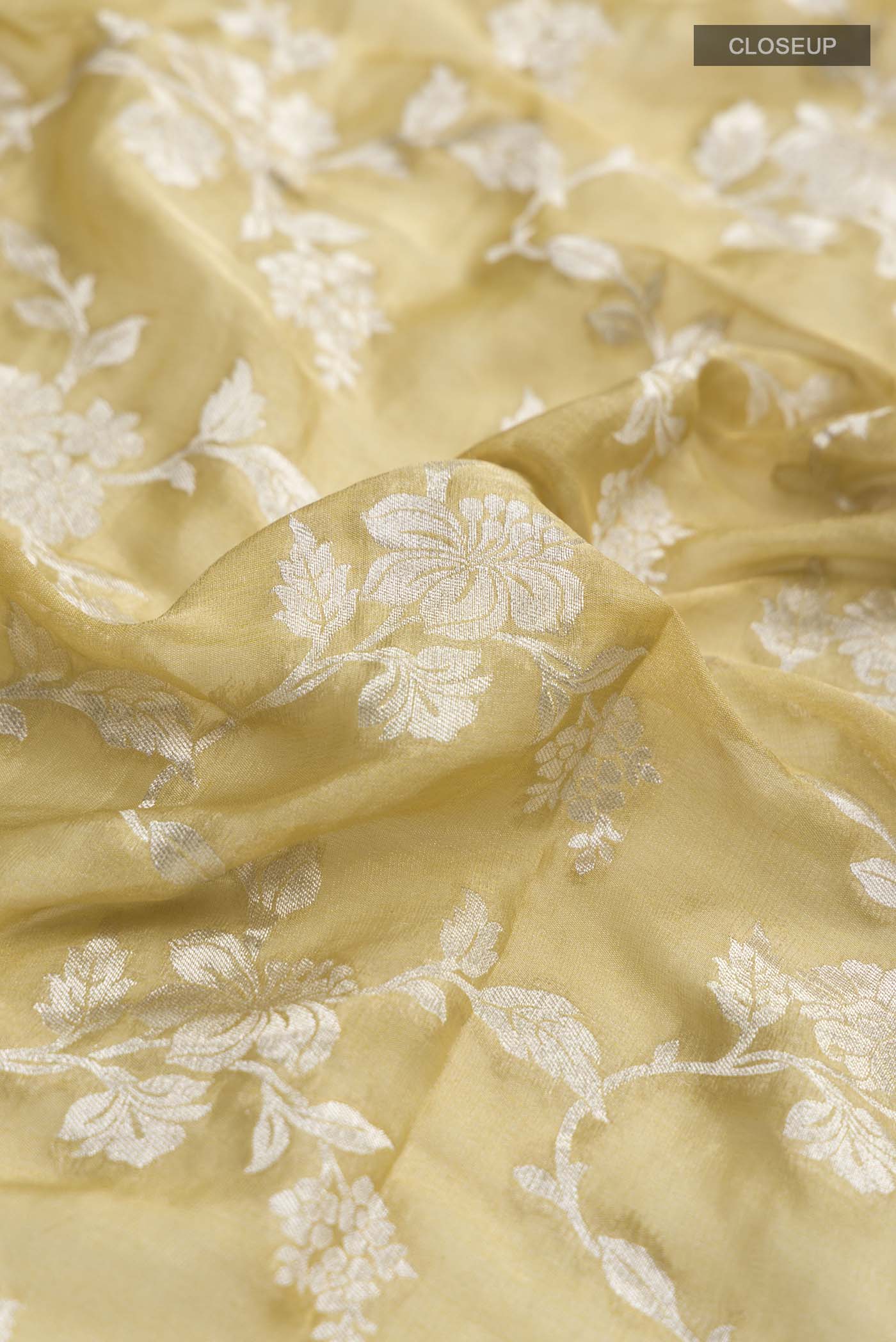 Close up of Beige Banarasi Georgette Saree with Zari Butta on the body and Zari Border displaying folds