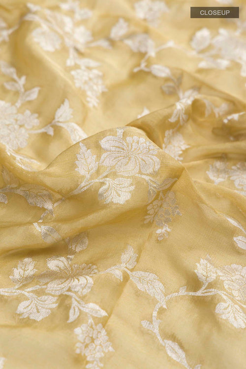 Close up of Beige Banarasi Georgette Saree with Zari Butta on the body and Zari Border displaying folds