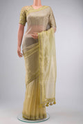 Multi Color Tissue Silk Saree with Half And Half on the body and Embroidery Border displayed on a mannequin