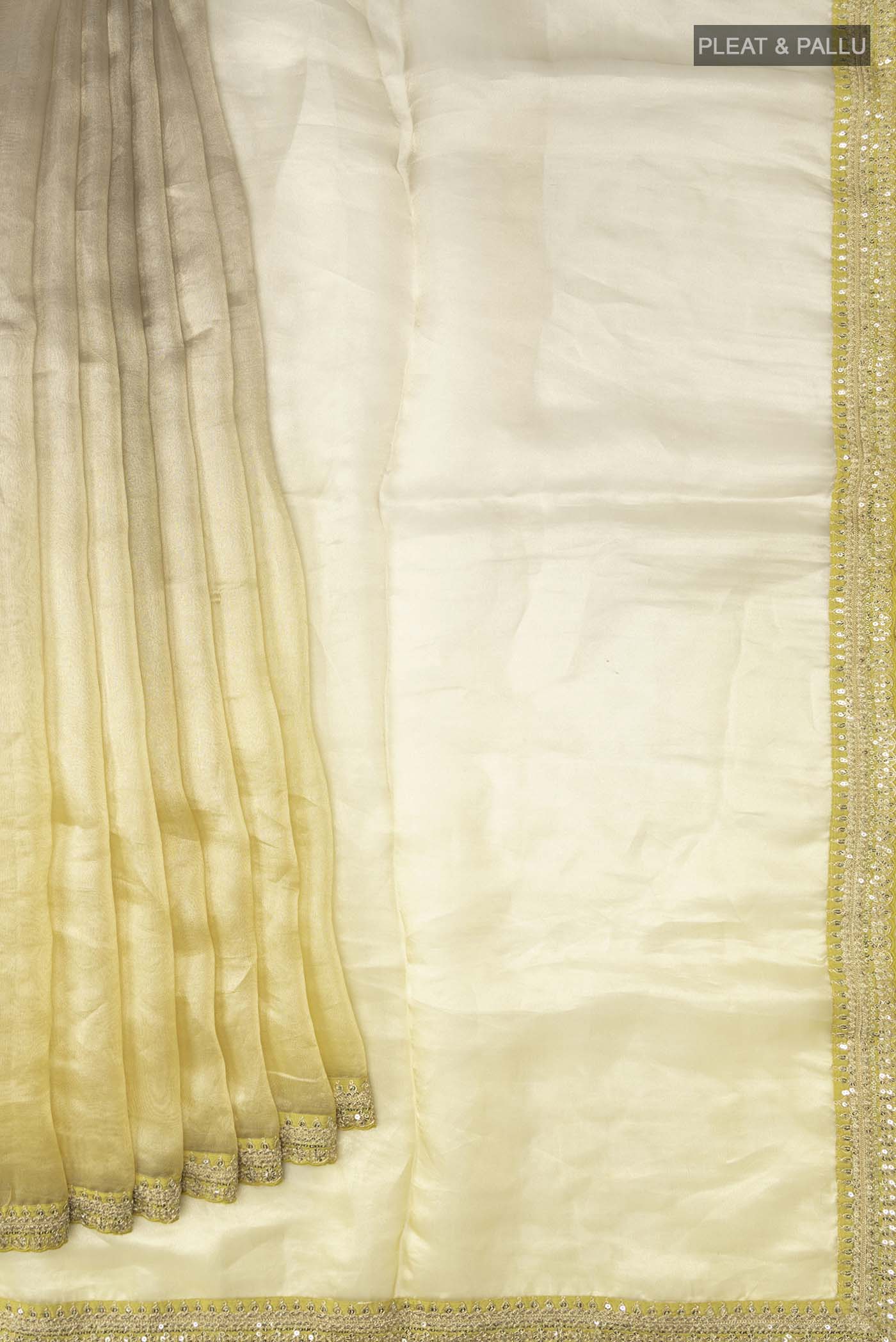 Pleats and pallu of Multi Color Tissue Silk Saree with Half And Half on the body and Embroidery Border
