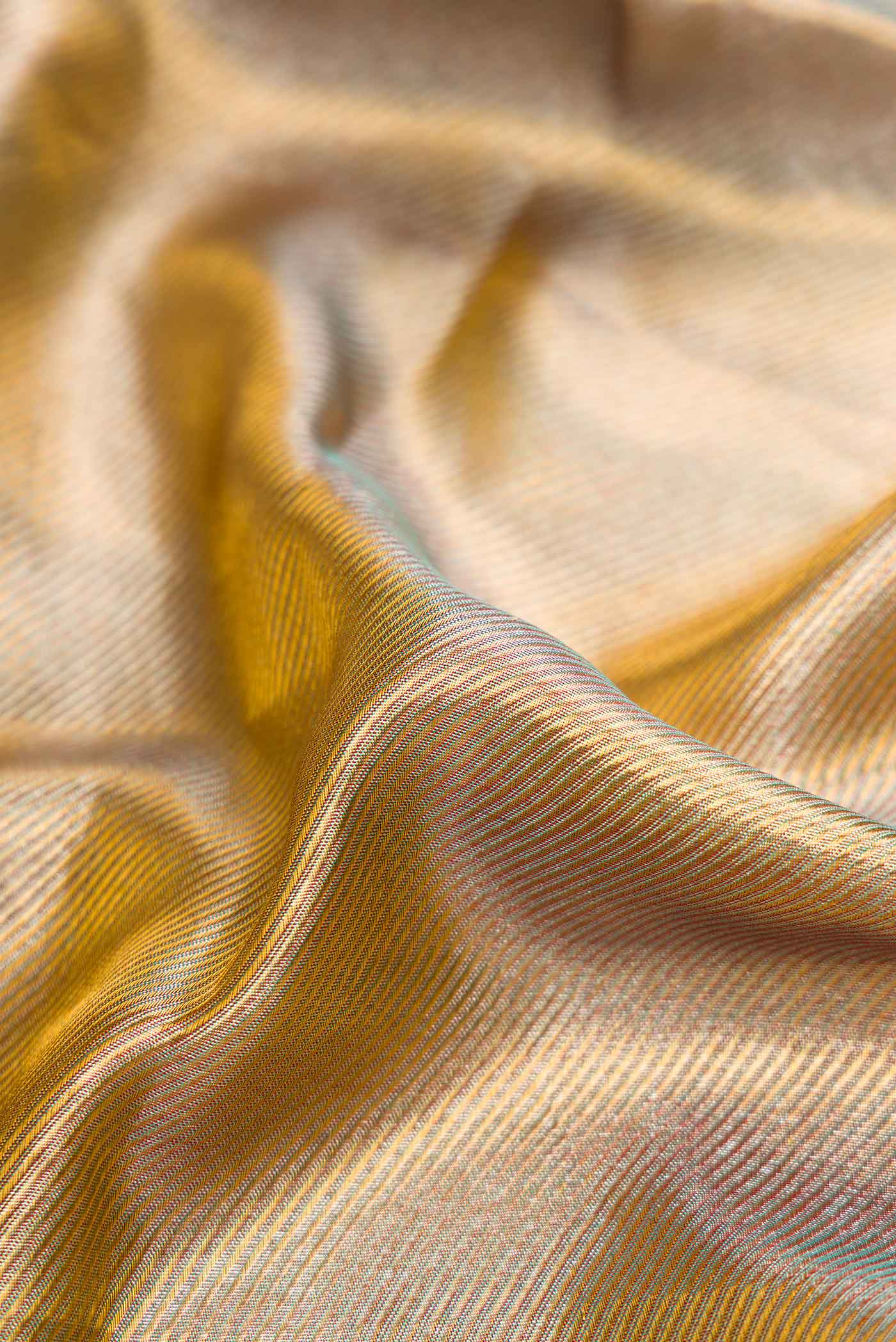 Close up of Green Dual Tone Kanchipuram Tissue Silk Saree with Zari Brocade on the body and Zari Border.  displaying folds