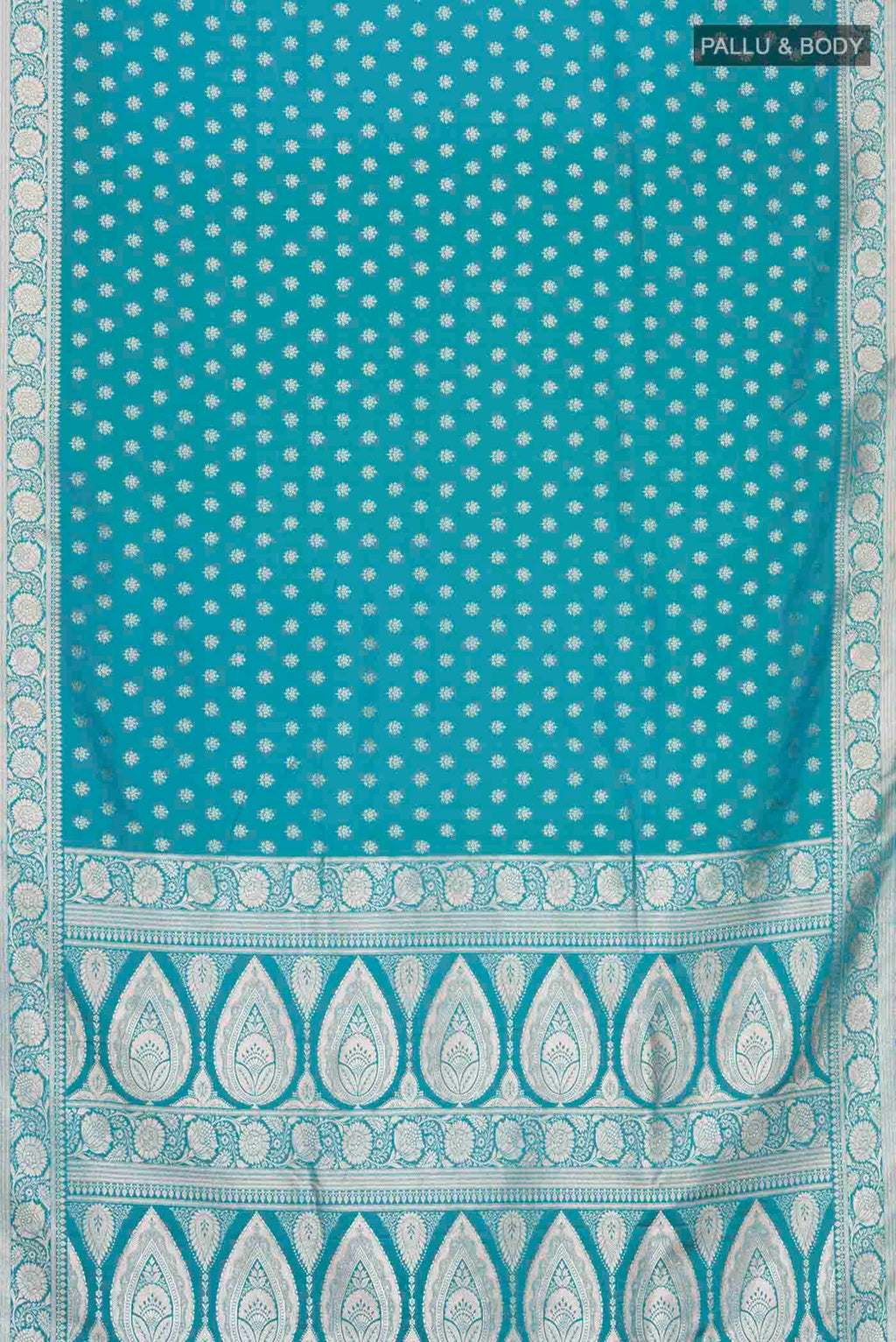 pallu body