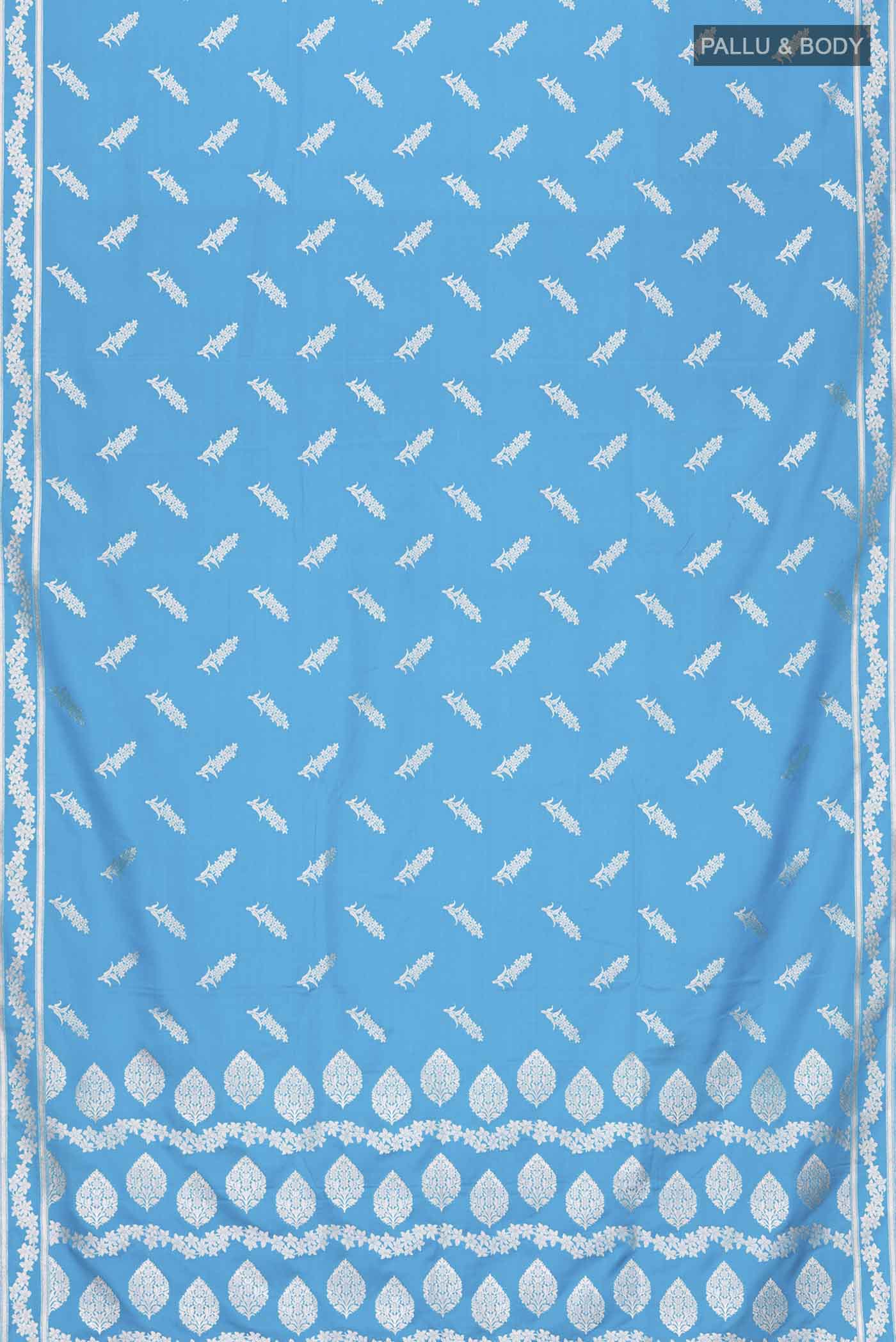 pallu body