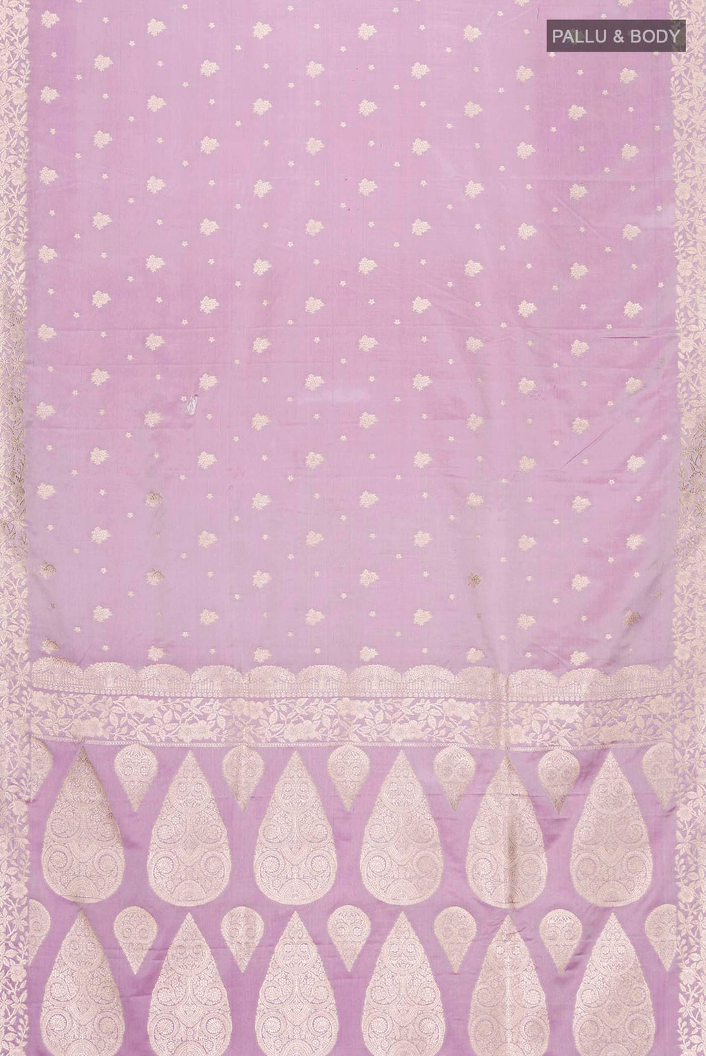 pallu body
