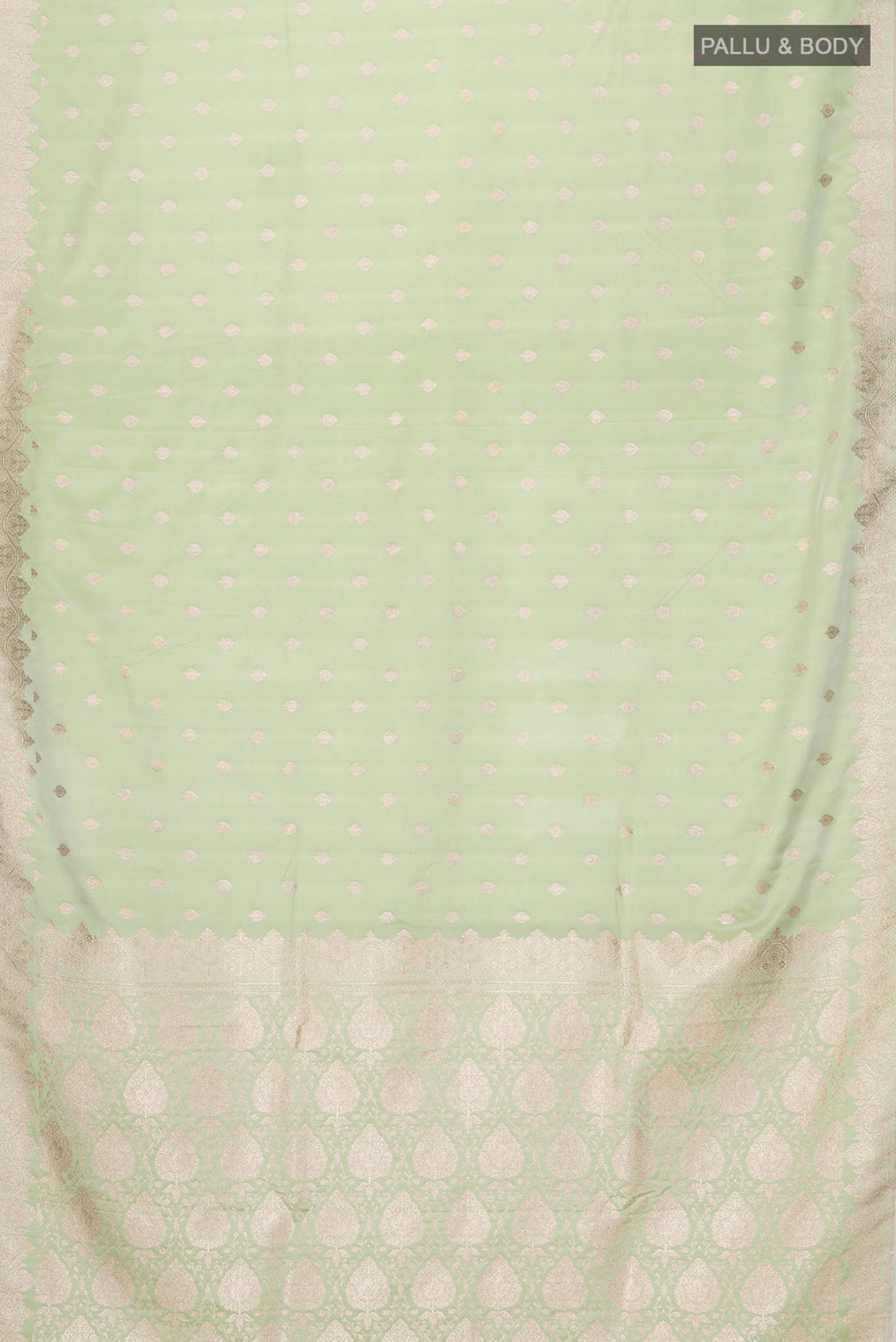 pallu body
