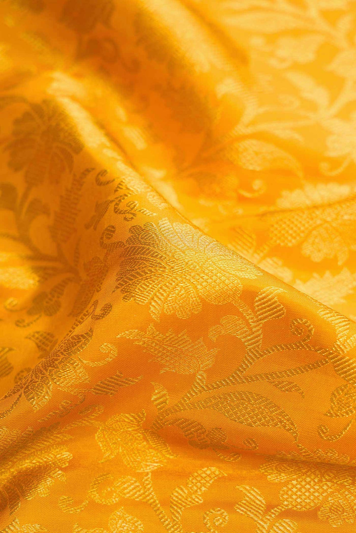 Close up of Mustard Dual Tone Kanjivaram Silk Saree with Zari Brocade on the body and Zari Border.  displaying folds