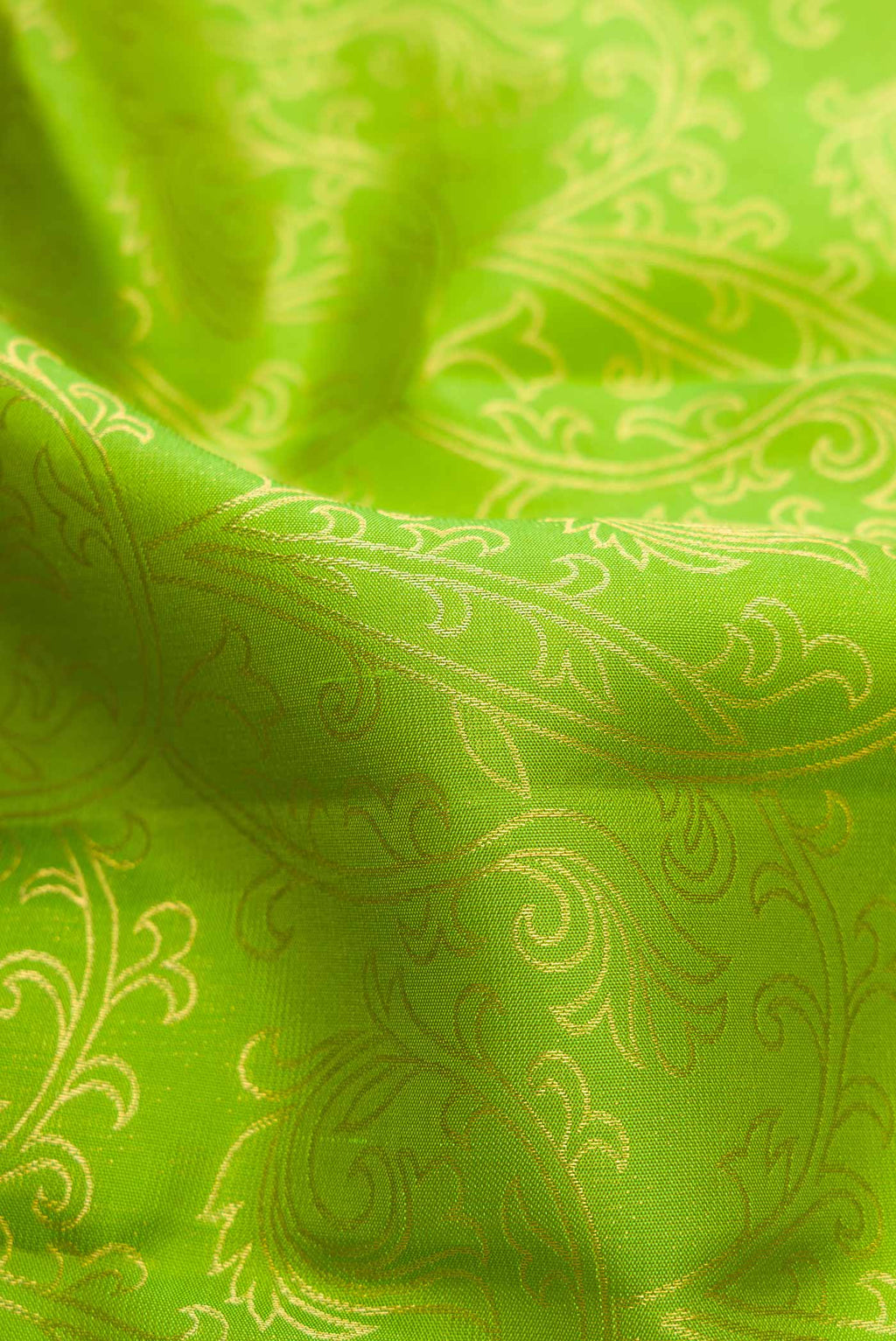 Close up of Parrot Green Dual Tone Kanchipuram Silk Saree with Zari Brocade on the body and Zari Border.  displaying folds