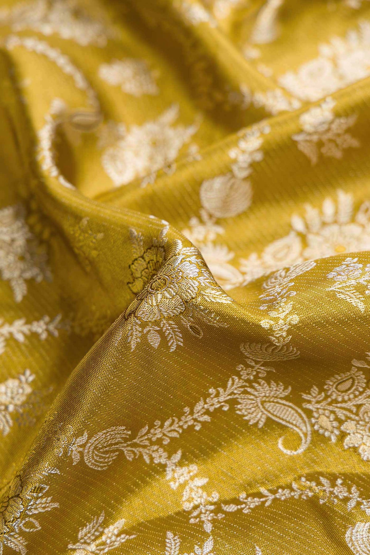 Close up of Gold Dual Tone Kanjivaram Tissue Silk Saree with Zari Brocade on the body and Zari Border.  displaying folds