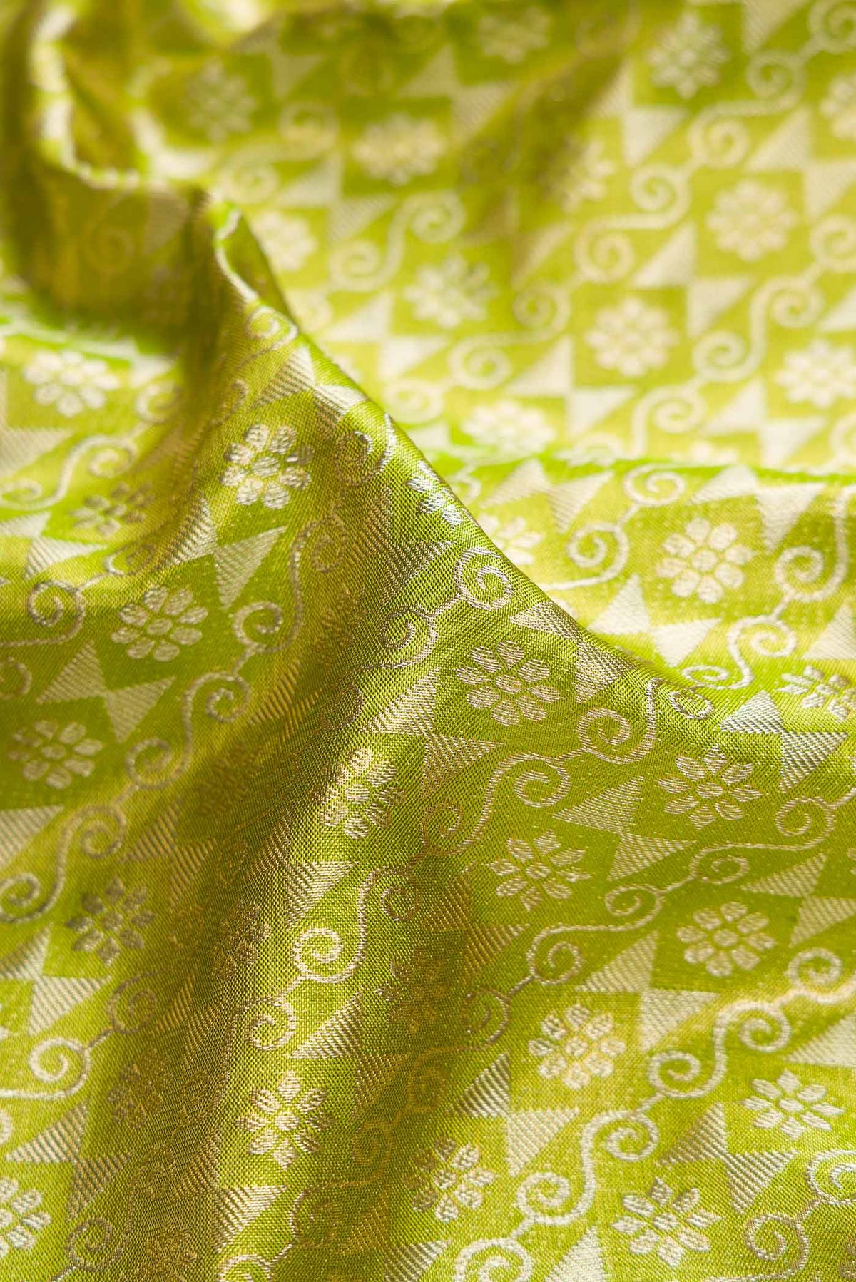 Close up of Green Dual Tone Kanchipuram Tissue Silk Saree with Zari Brocade on the body and Zari Border displaying folds