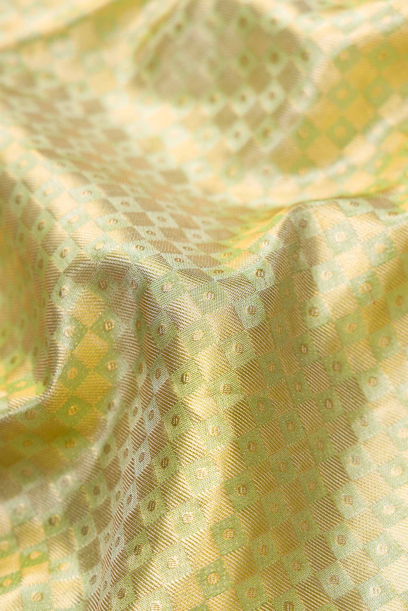 Close up of Light Green Dual Tone Kanchipuram Tissue Silk Saree with Zari Brocade on the body and Fancy Border.  displaying folds