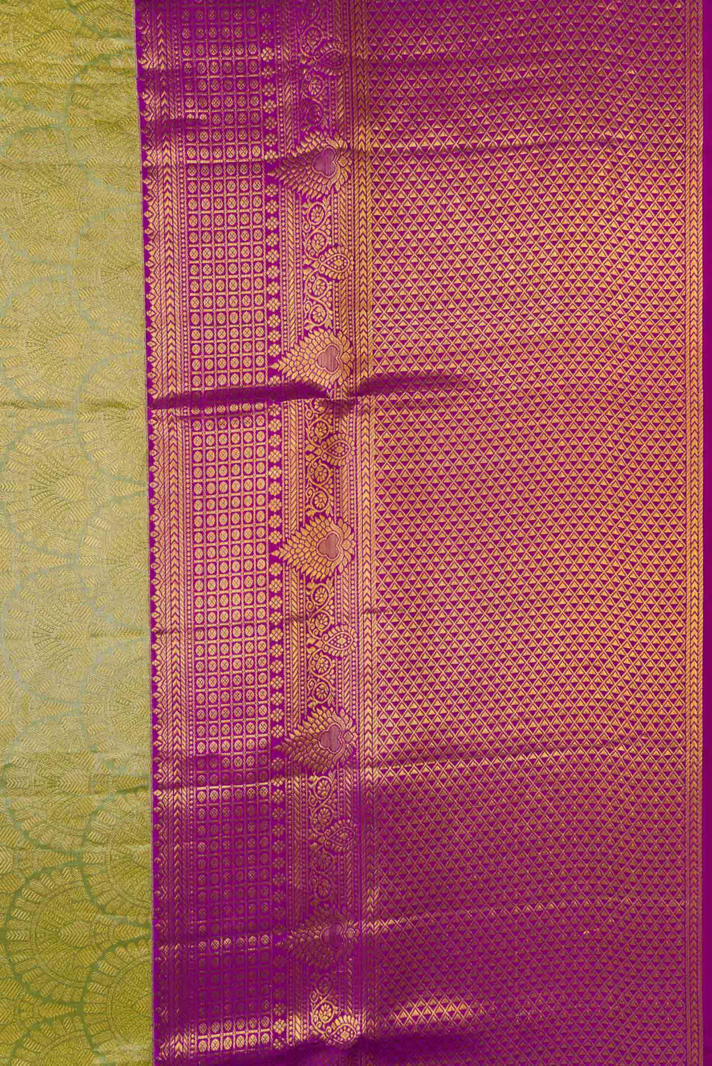 Border image of Green Dual Tone Kanchipuram Tissue Silk Saree with Zari Brocade on the body and Zari Border