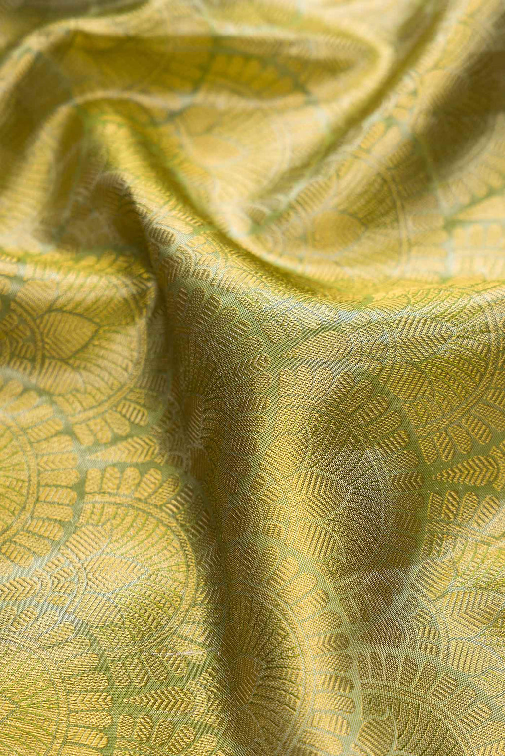 Close up of Green Dual Tone Kanchipuram Tissue Silk Saree with Zari Brocade on the body and Zari Border displaying folds