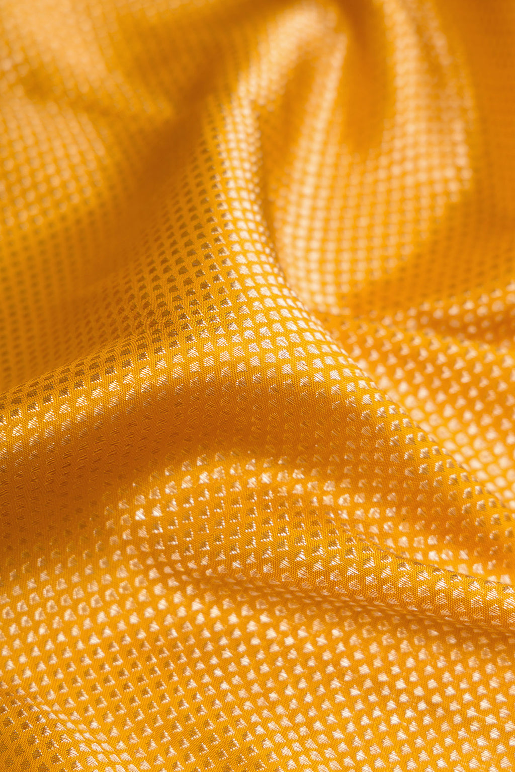 Close up of Mustard Kanchipuram Silk Saree with Zari Brocade on the body and Zari Border.  displaying folds