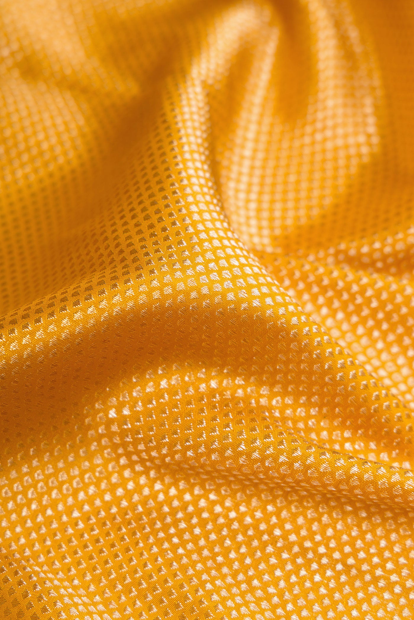 Close up of Mustard Kanchipuram Silk Saree with Zari Brocade on the body and Zari Border.  displaying folds