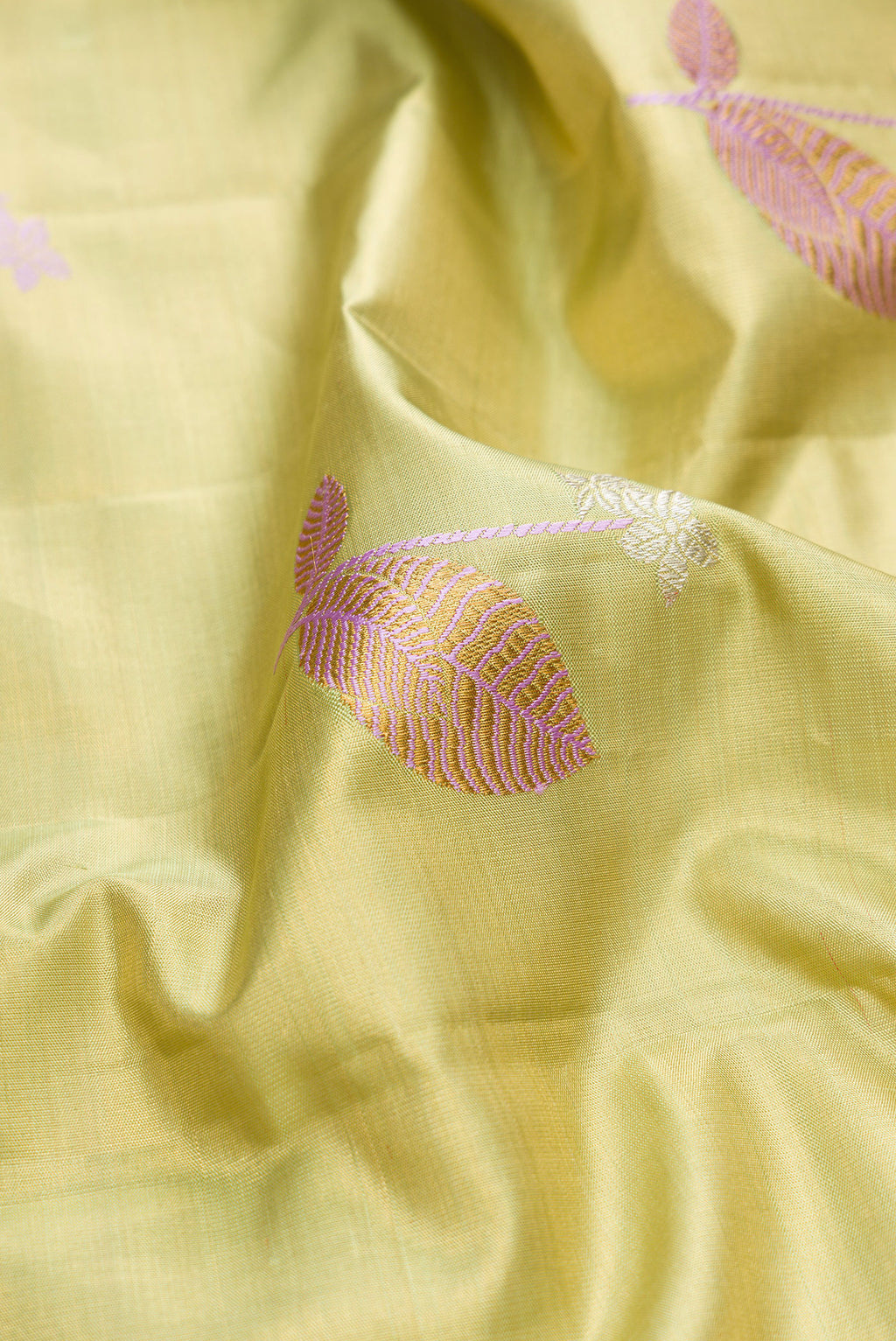 Close up of Pista Green Dual Tone Kanjivaram Tissue Silk Saree with Zari And Thread Butta on the body and Zari Border.  displaying folds