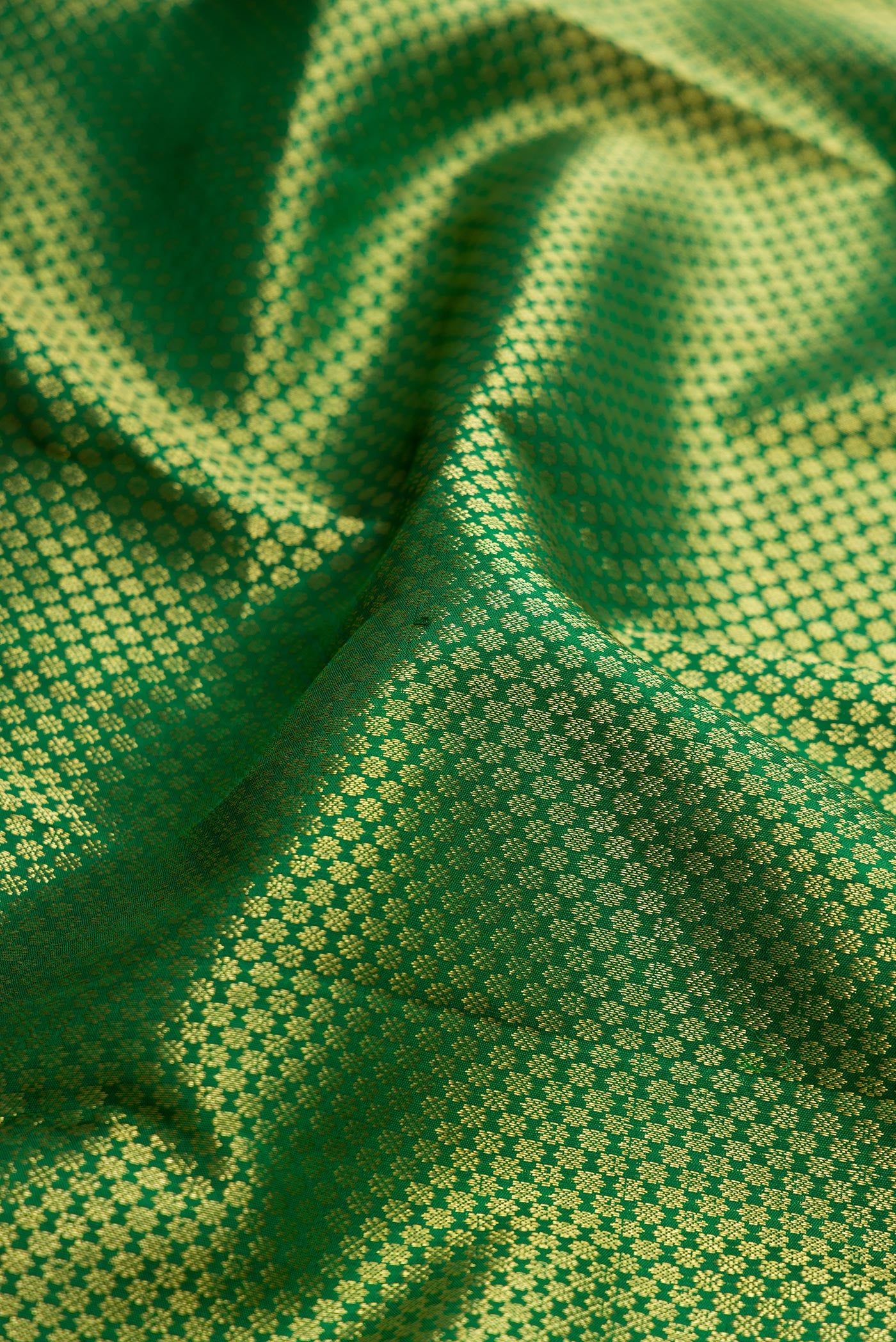 Close up of Green Dual Tone Kanchipuram Silk Saree with Zari Brocade on the body and Zari Border.  displaying folds
