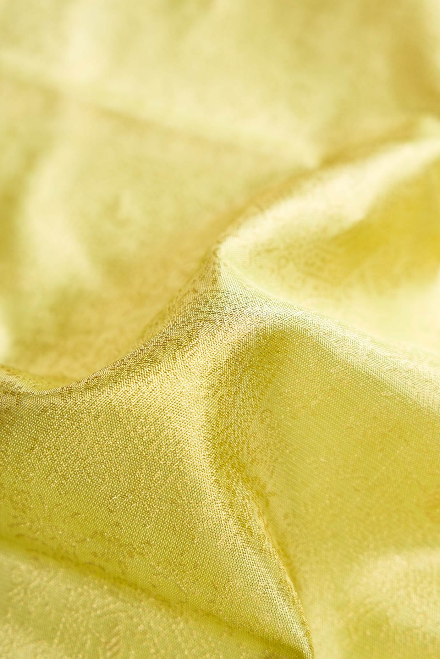 Close up of Pista Green Dual Tone Kanjivaram Tissue Silk Saree with Zari Brocade on the body and Zari Border.  displaying folds