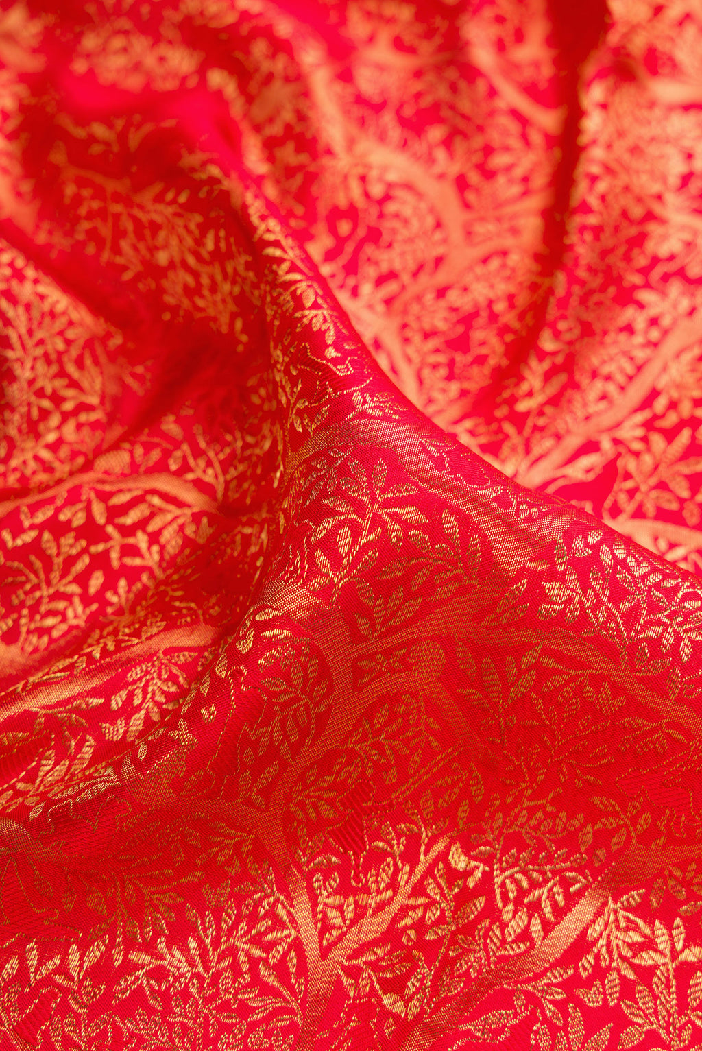 Close up of Red Dual Tone Kanjivaram Silk Saree with Zari Brocade on the body and Zari Border.  displaying folds