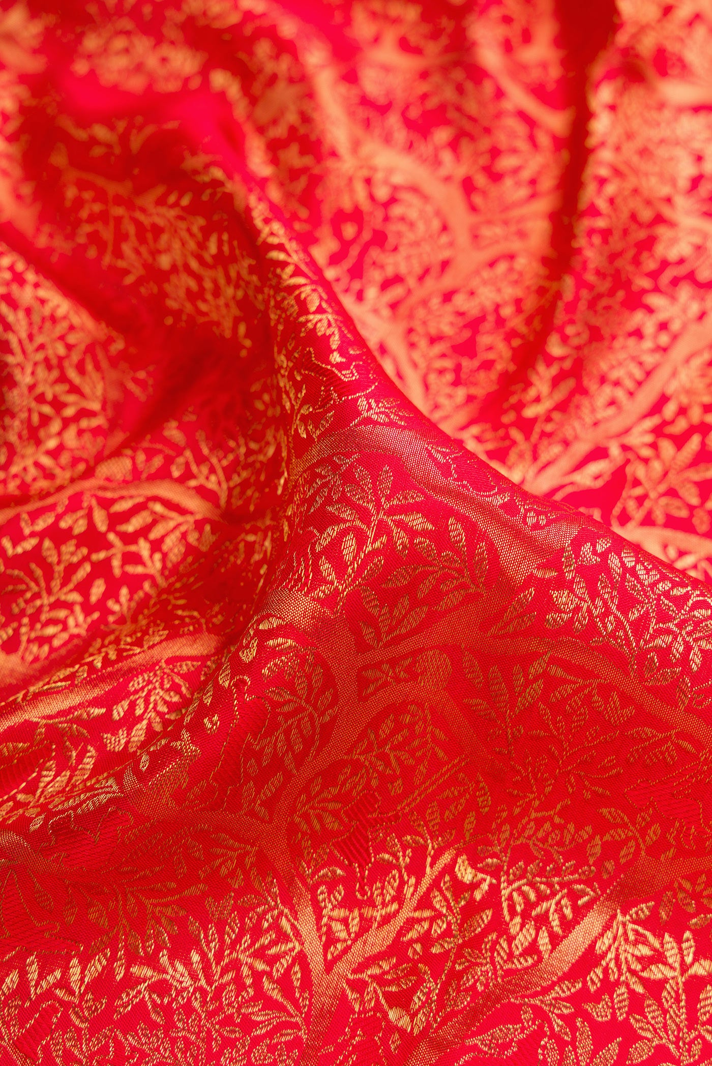 Close up of Red Dual Tone Kanjivaram Silk Saree with Zari Brocade on the body and Zari Border.  displaying folds