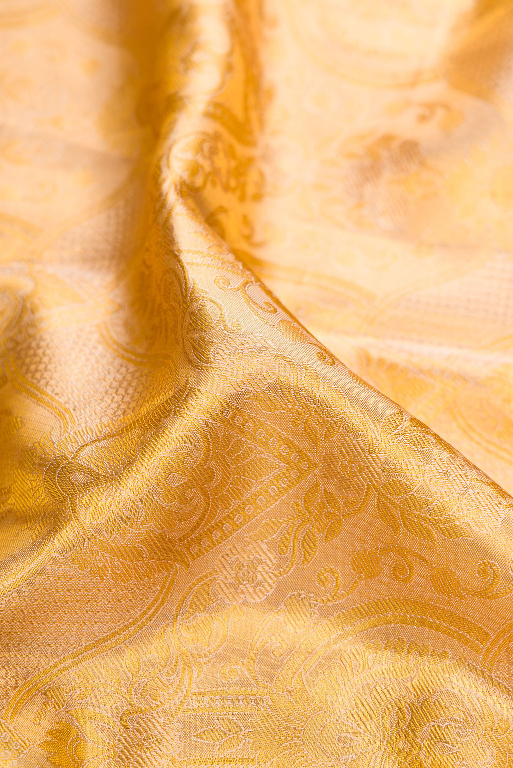 Close up of Gold Dual Tone Kanchipuram Tissue Silk Saree with Zari Brocade on the body and Zari Border.  displaying folds