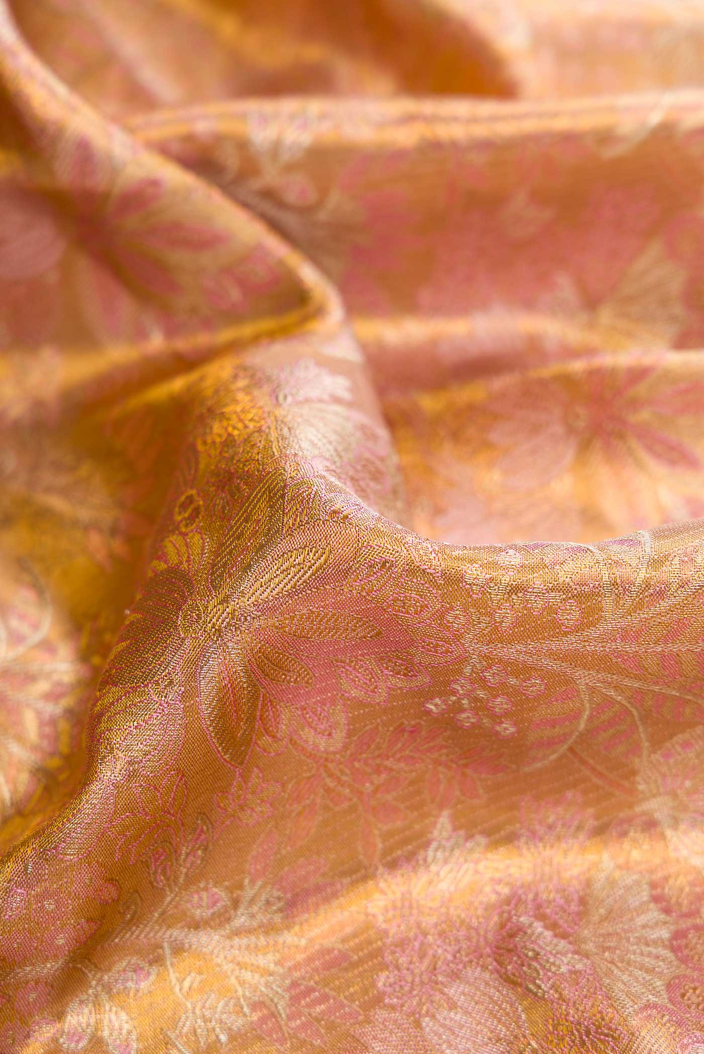 Close up of Gold Dual Tone Kanjivaram Tissue Silk Saree with Zari Brocade on the body and Zari Border.  displaying folds
