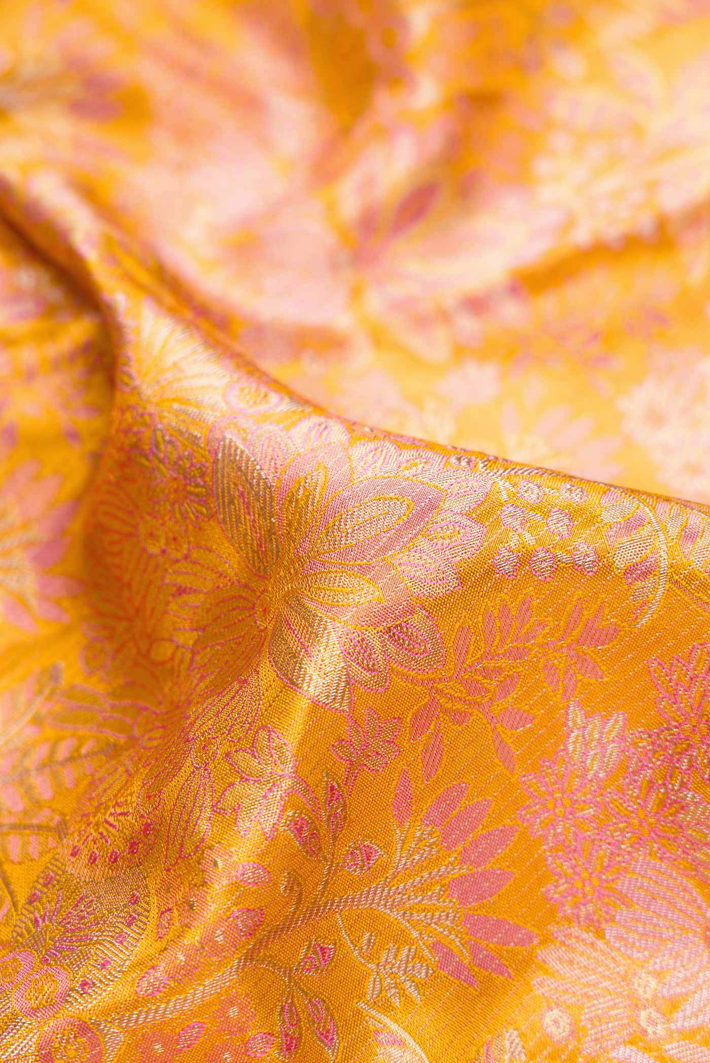 Close up of Gold Dual Tone Kanjivaram Tissue Silk Saree with Zari Brocade on the body and Zari Border.  displaying folds