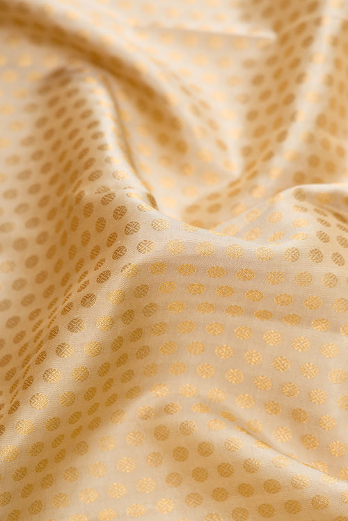 Close up of Beige Dual Tone Kanjivaram Silk Saree with Zari Brocade on the body and Zari Border.  displaying folds