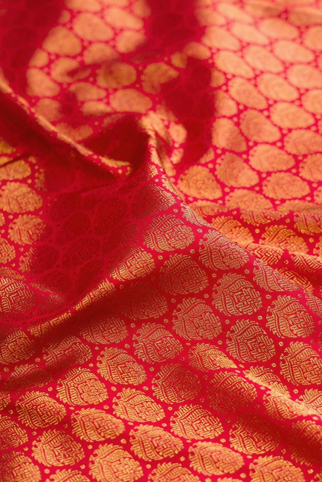 Close up of Red Kanchipuram Silk Saree with Zari Brocade on the body and Zari Border.  displaying folds