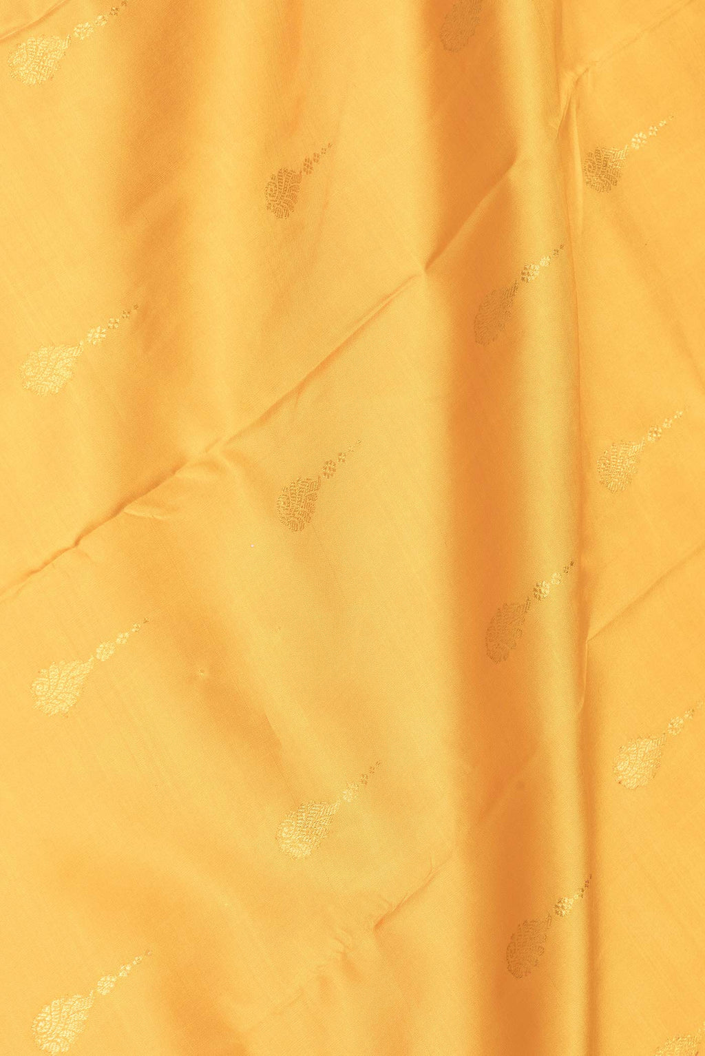 Close up of Mustard Dual Tone Kanjivaram Saree with Zari Butta on the body and Zari Border.  displaying folds