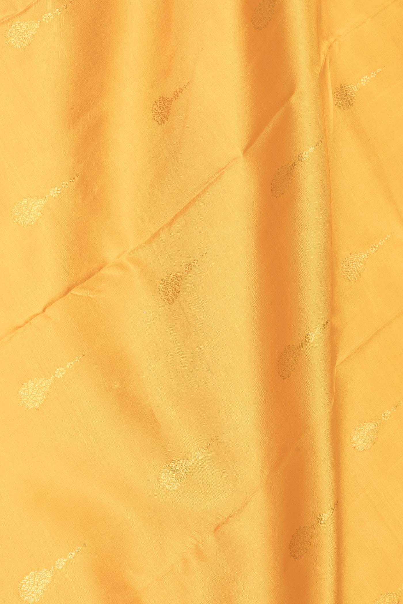 Close up of Mustard Dual Tone Kanjivaram Saree with Zari Butta on the body and Zari Border.  displaying folds