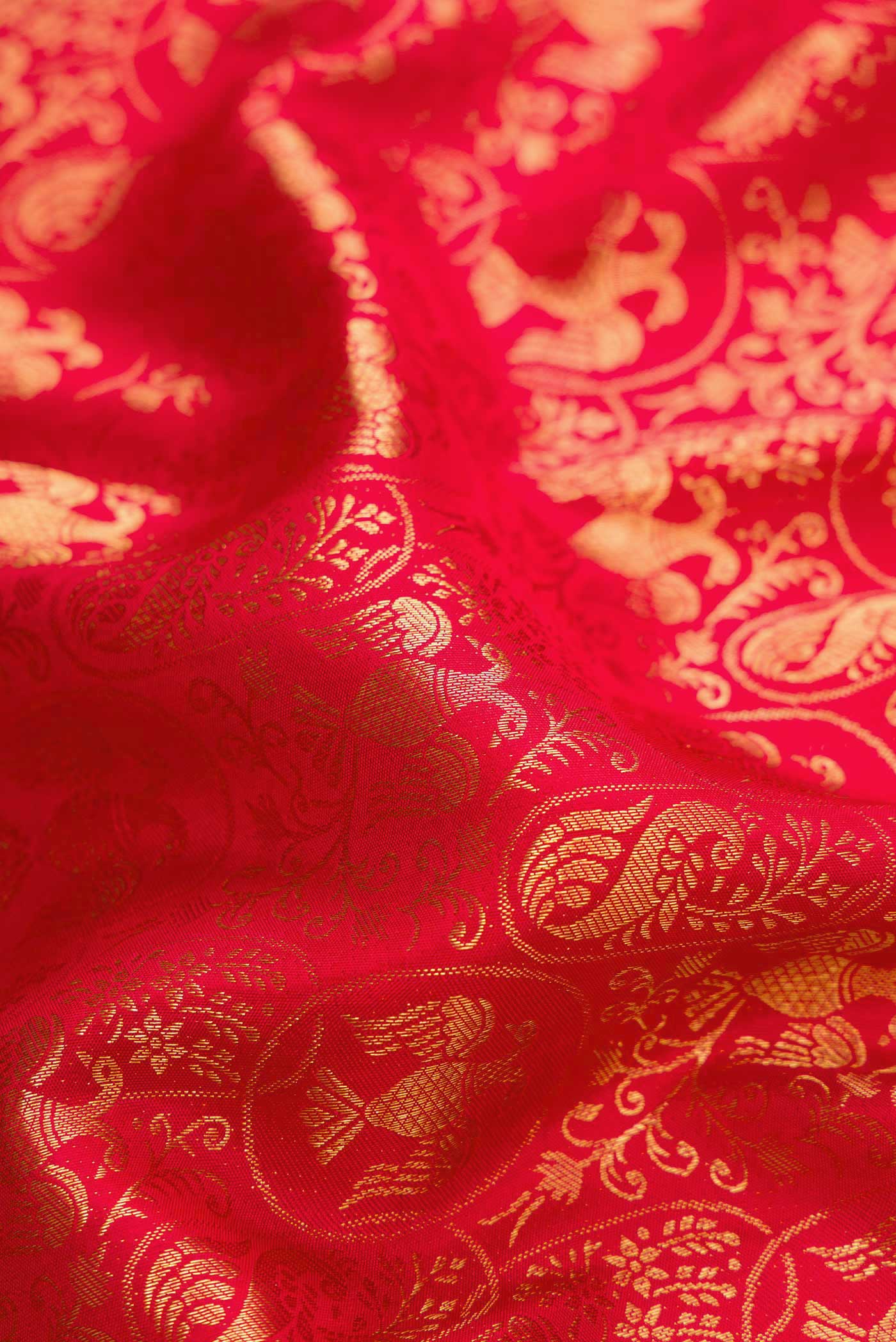 Close up of Red Dual Tone Kanchipuram Silk Saree with Zari Brocade on the body and Zari Border.  displaying folds